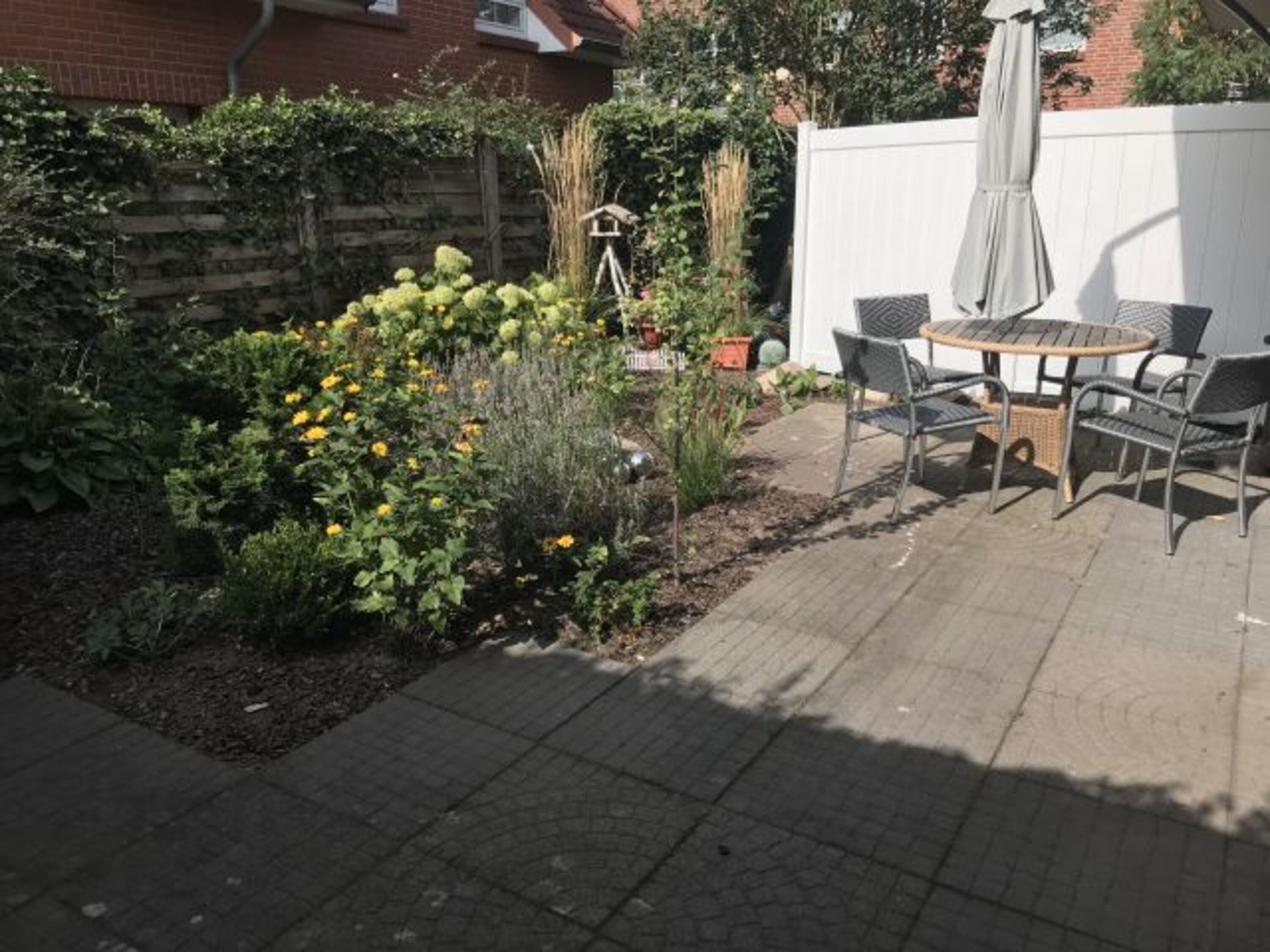 Bild 15