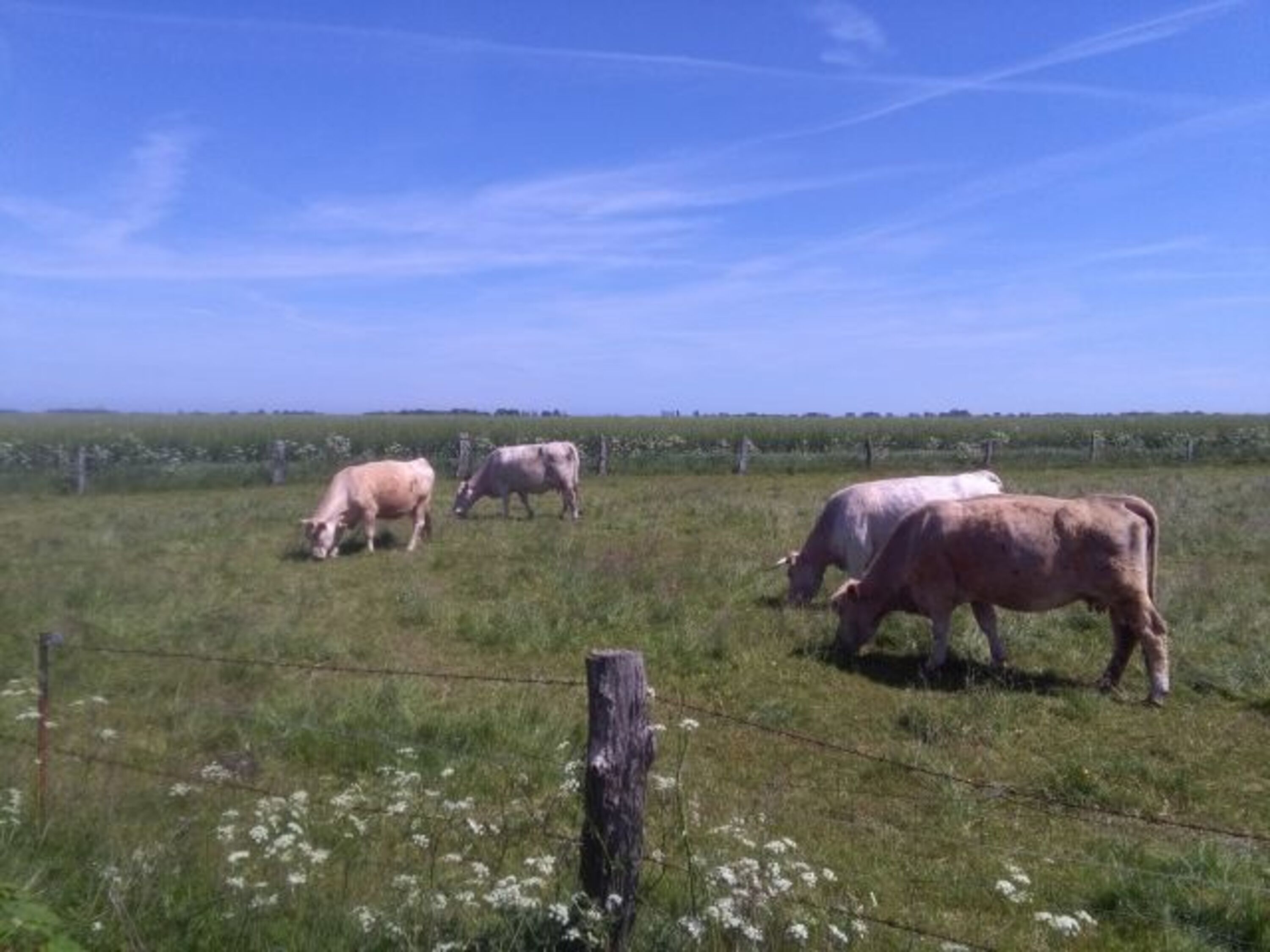 Bild 13