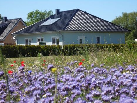 Blick vom benachbarten Feld auf das Objekt