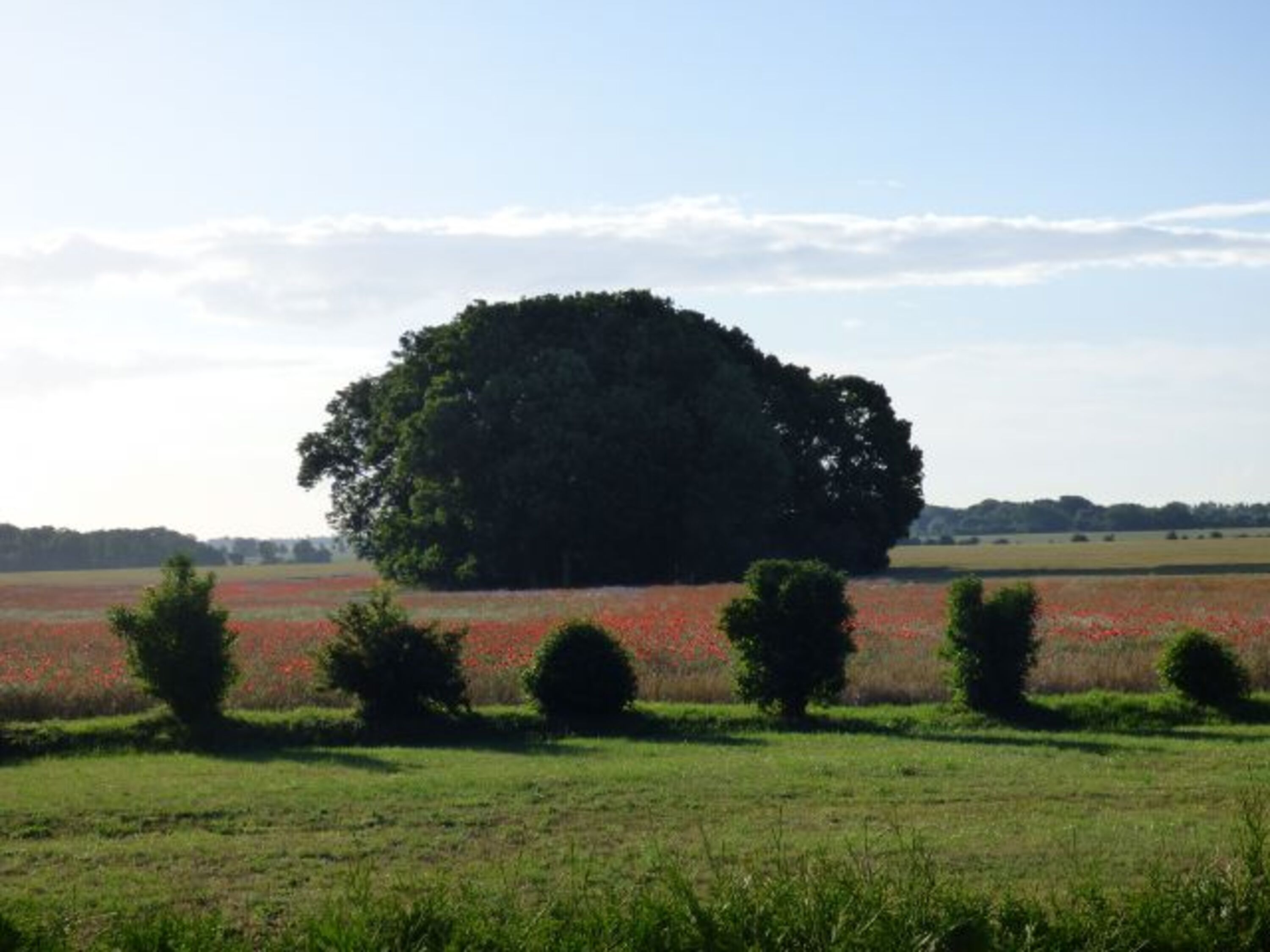 Blick von der Terrasse über das angrenzende Feld