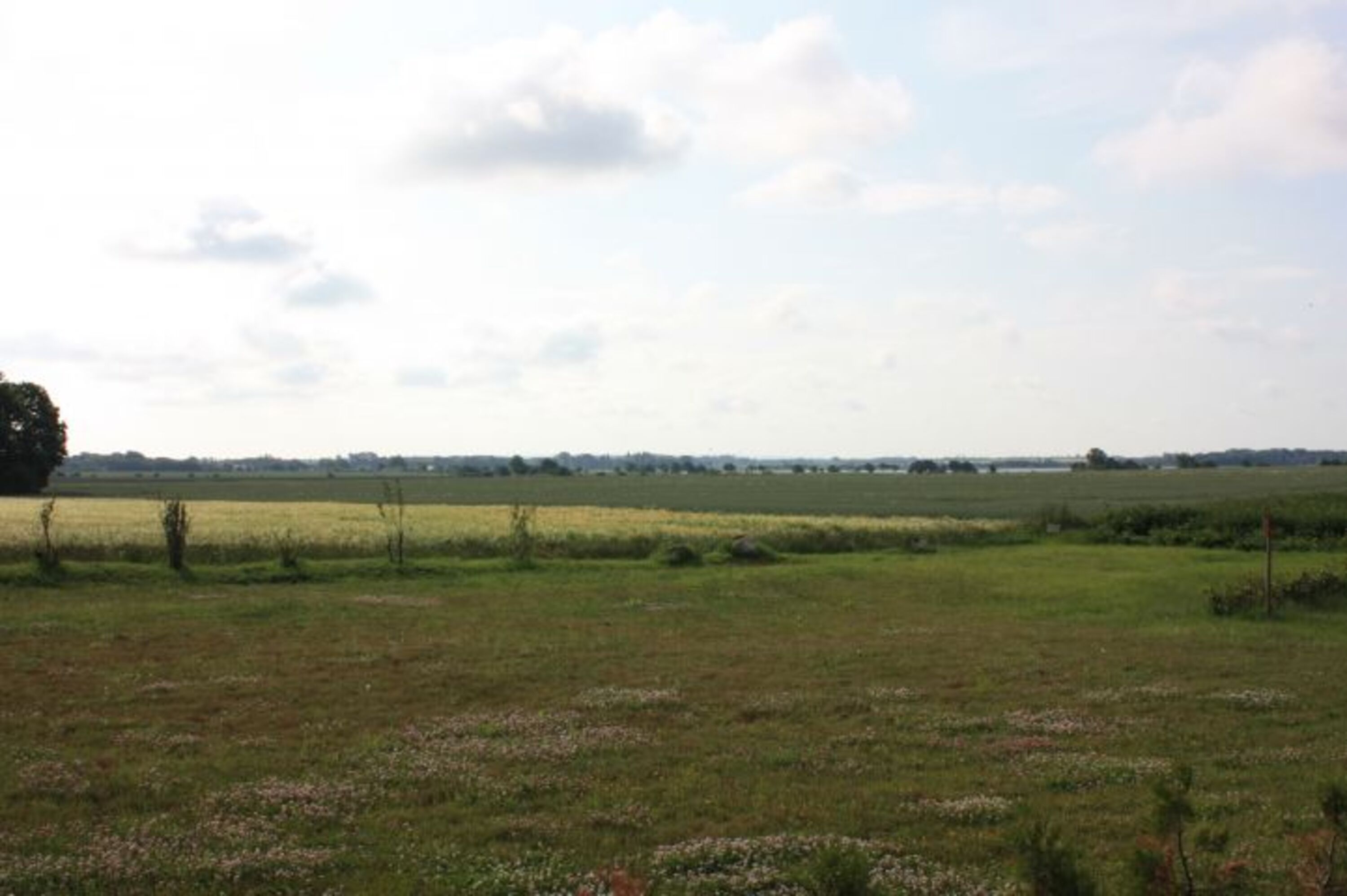 Blick von der Terrasse Richtung Bodden
