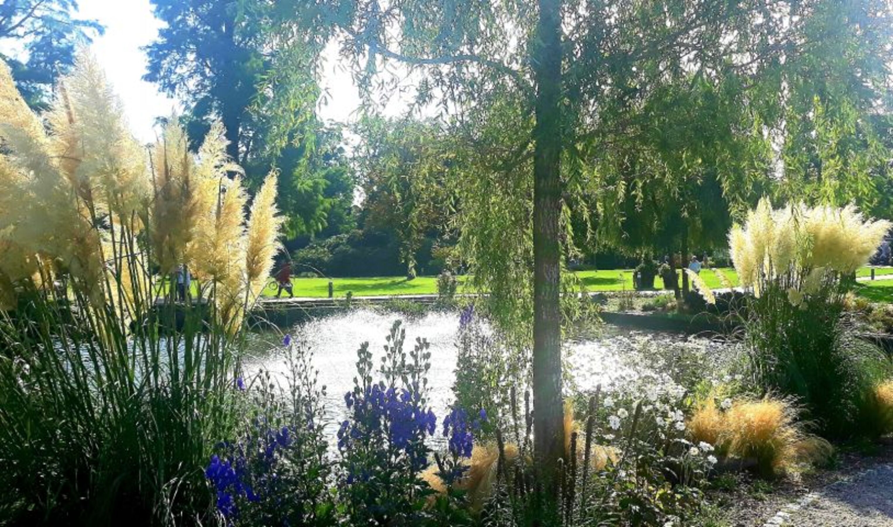 Kurpark Bad Zwischenahn - Fewo Ferienwohnung