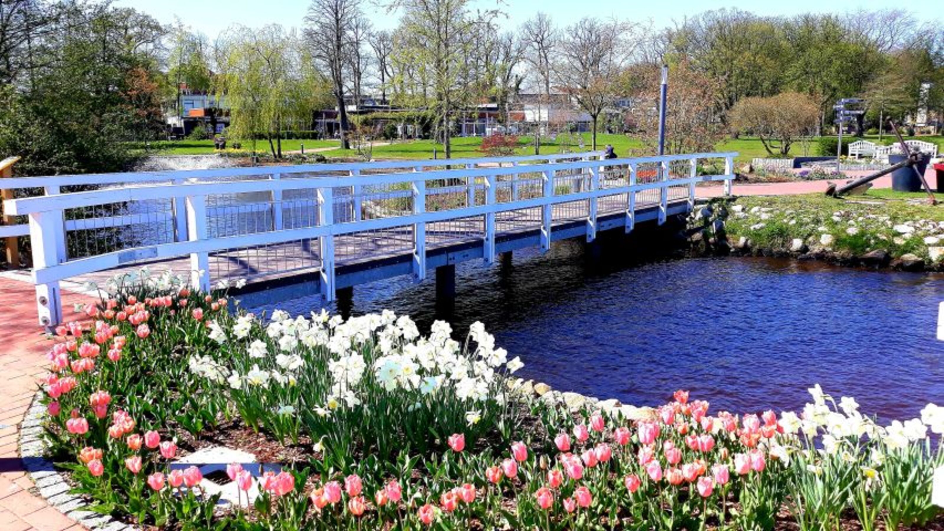 Kurpark Bad Zwischenahn Fewo Ferienwohnung