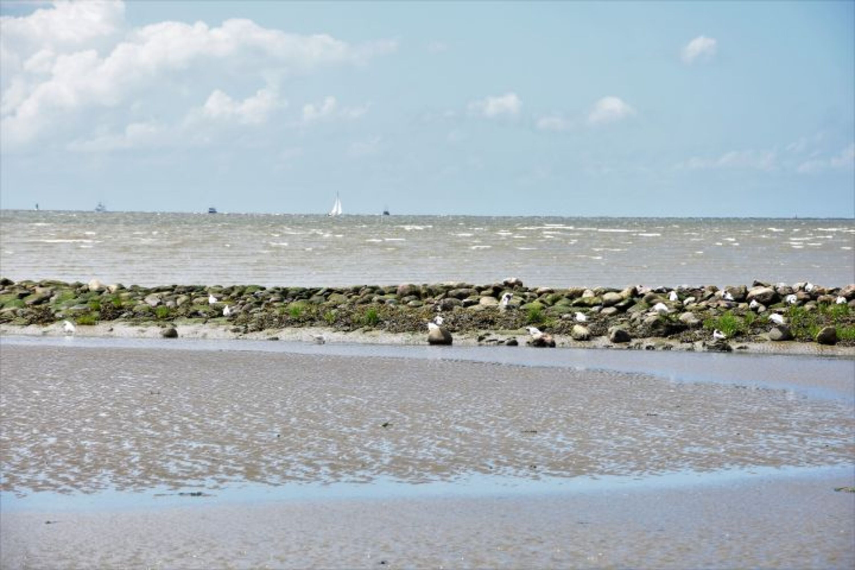 Bild 13