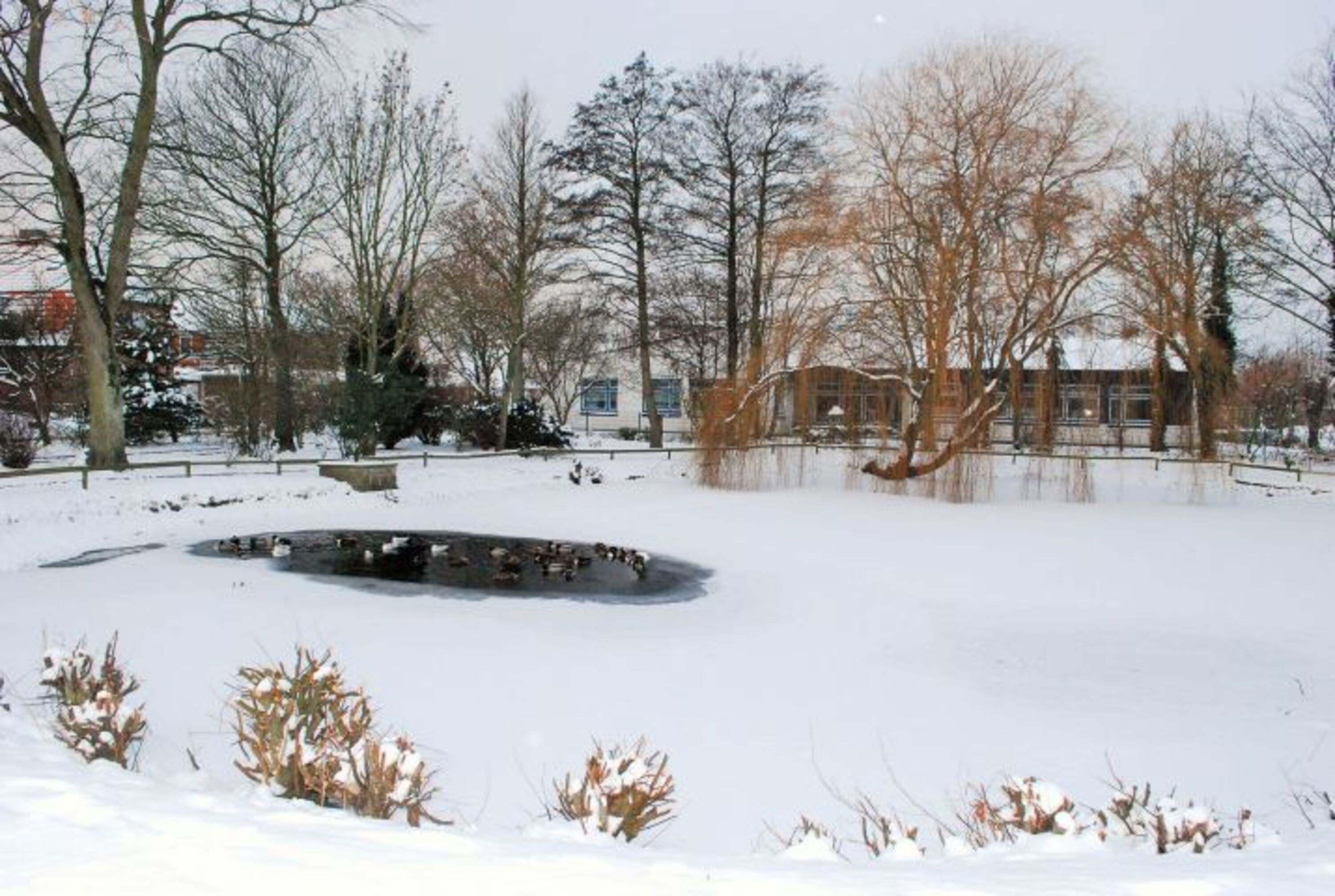 Winter am Meer