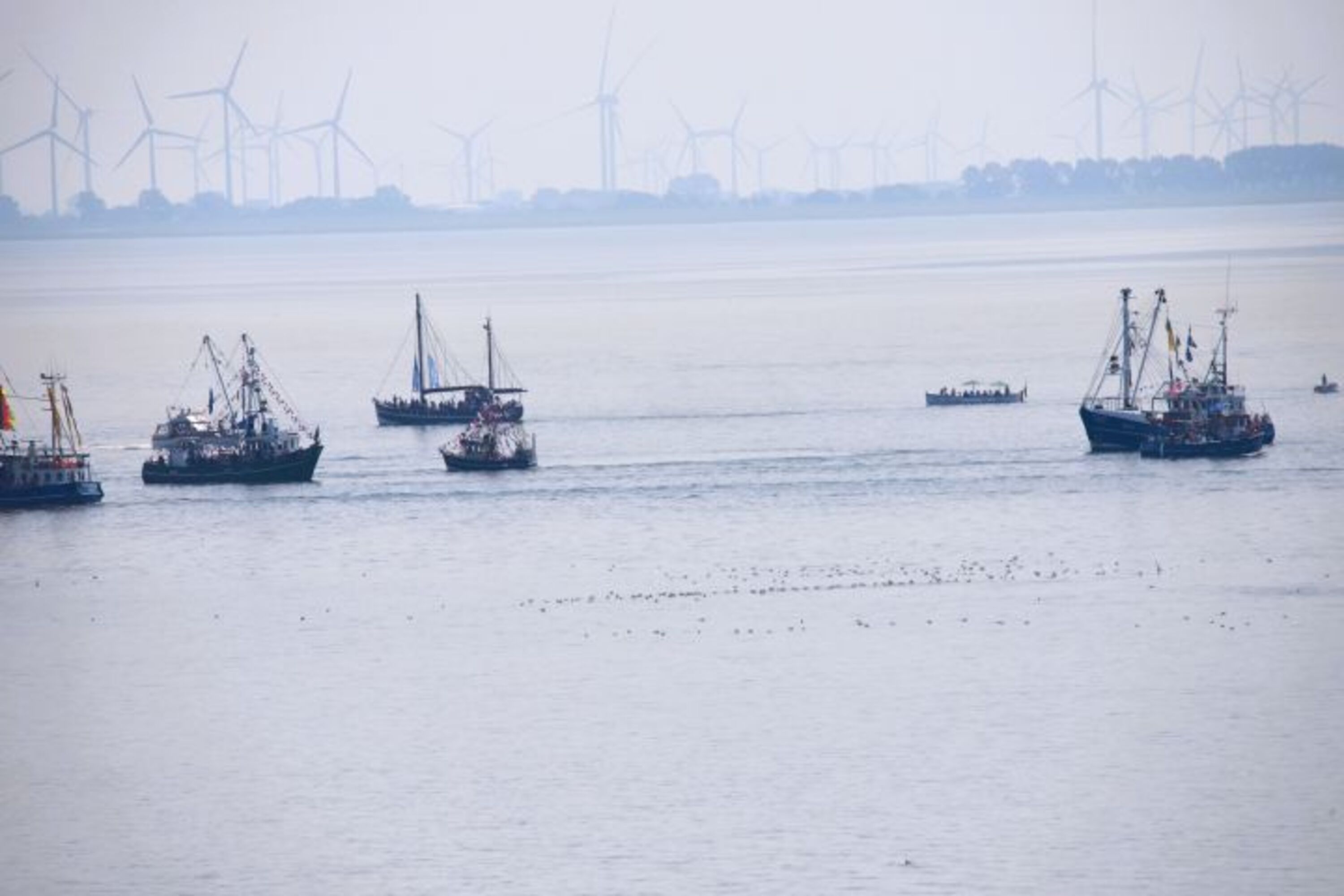 Kutterregatta