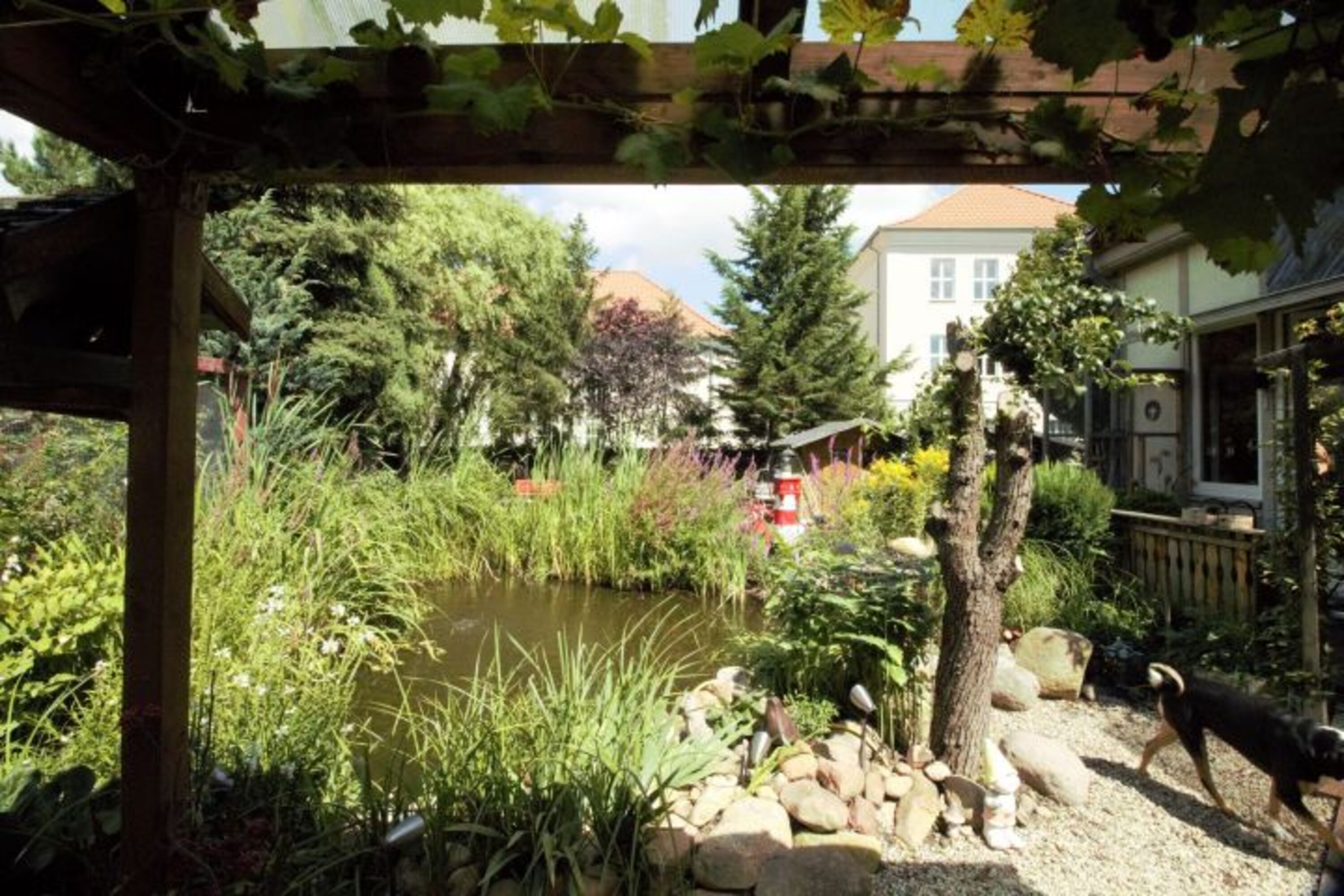 Ausblick von der Terasse über Teich