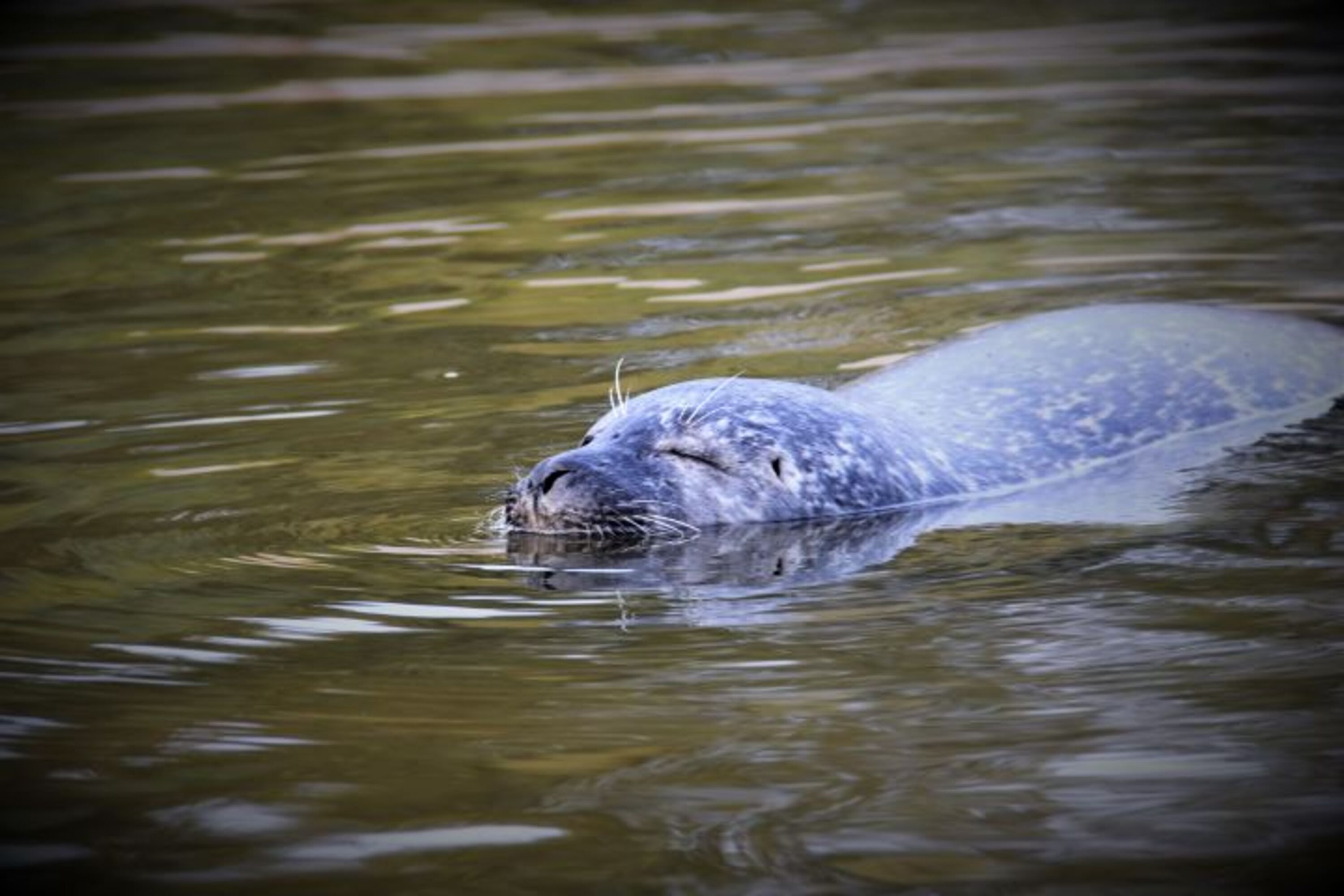 Bild 15