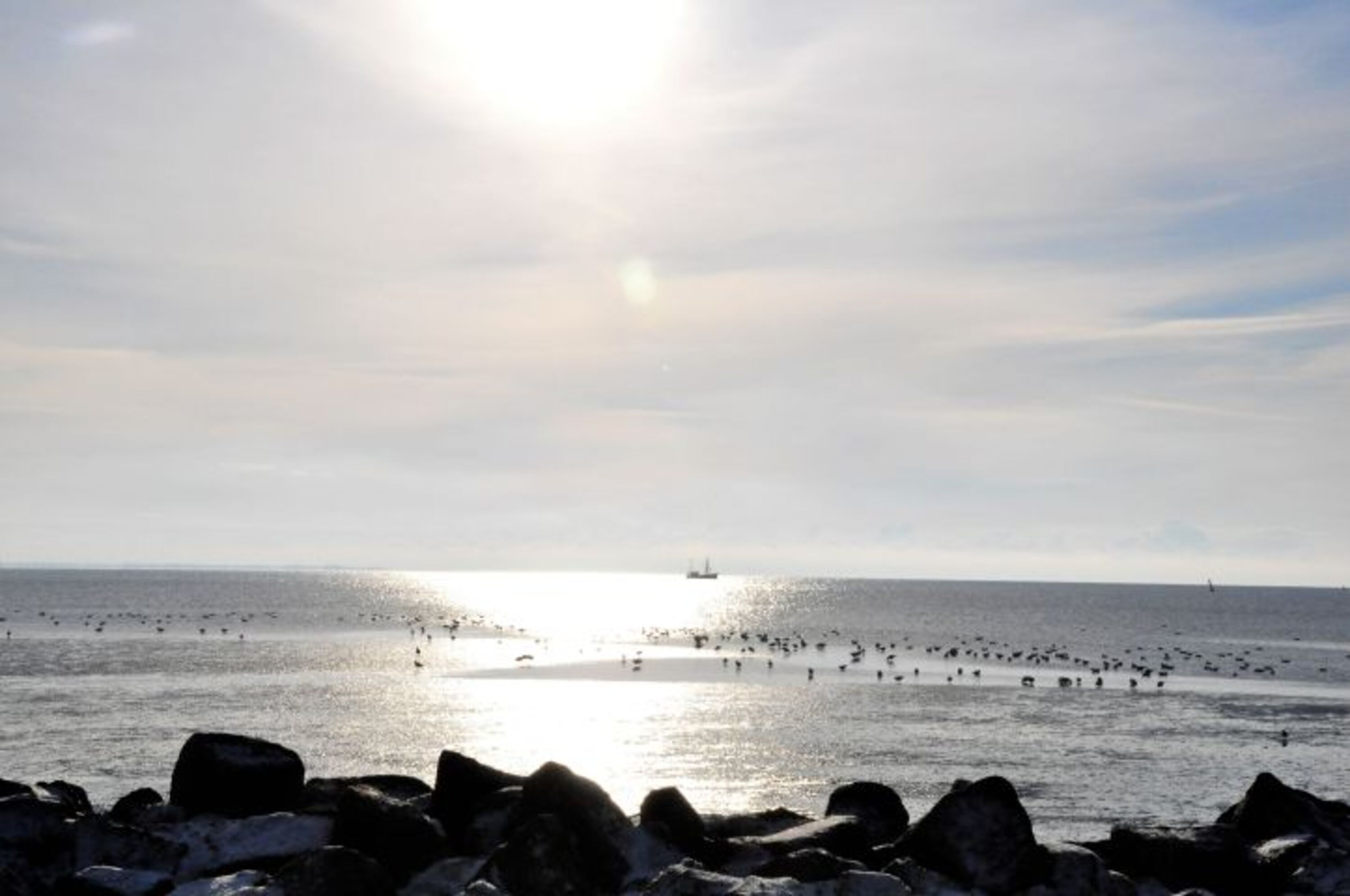Bild 16