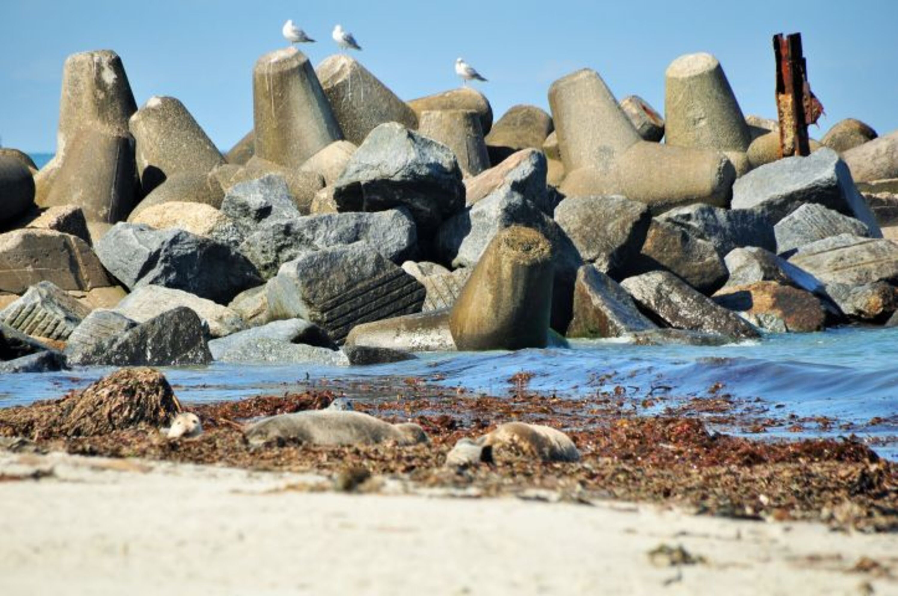 Helgoland