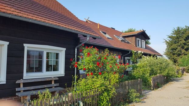 Ferienhaus Libelle mit Bank im Eingangsbereich