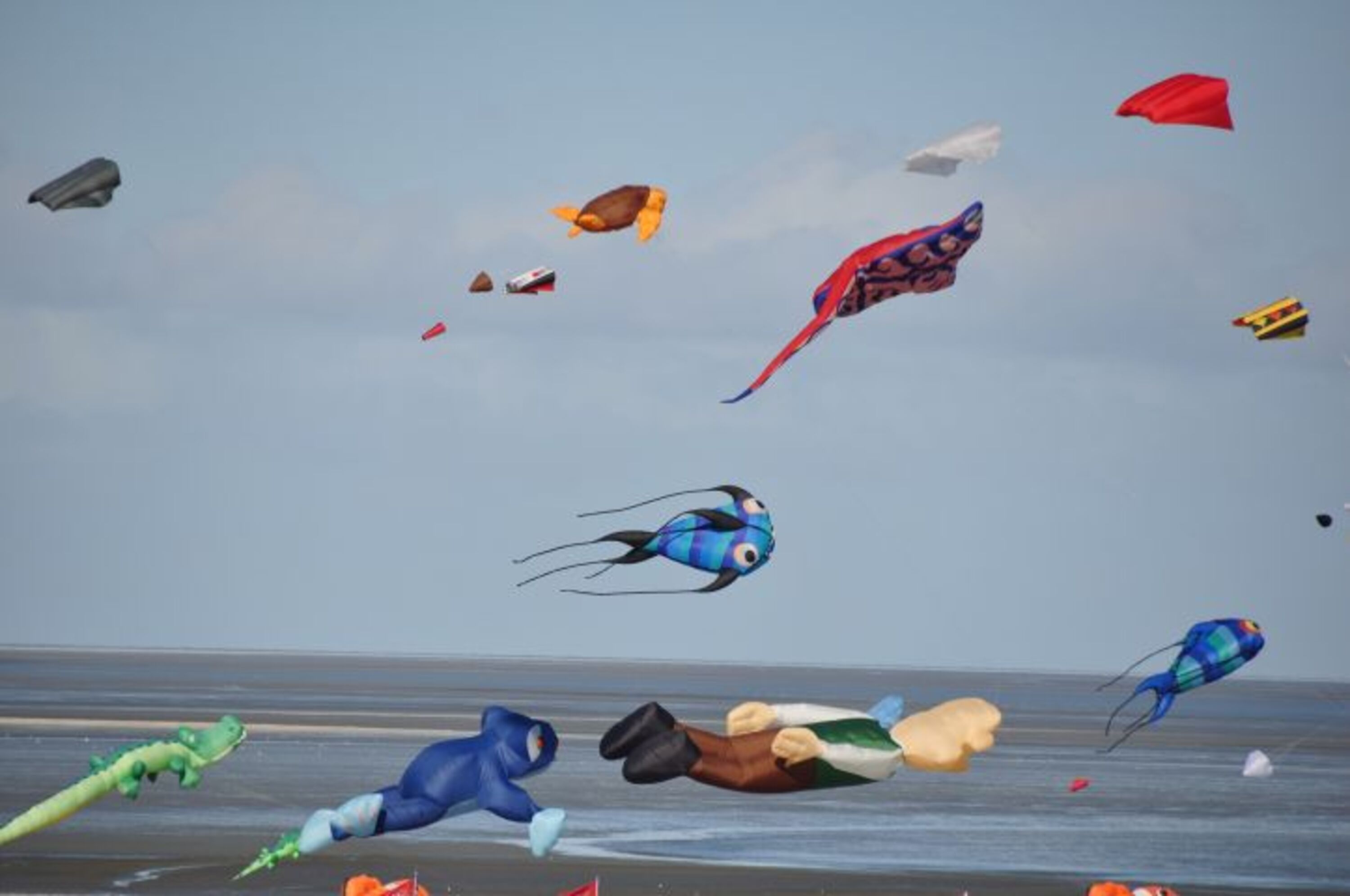 Drachenfest in der Lagune
