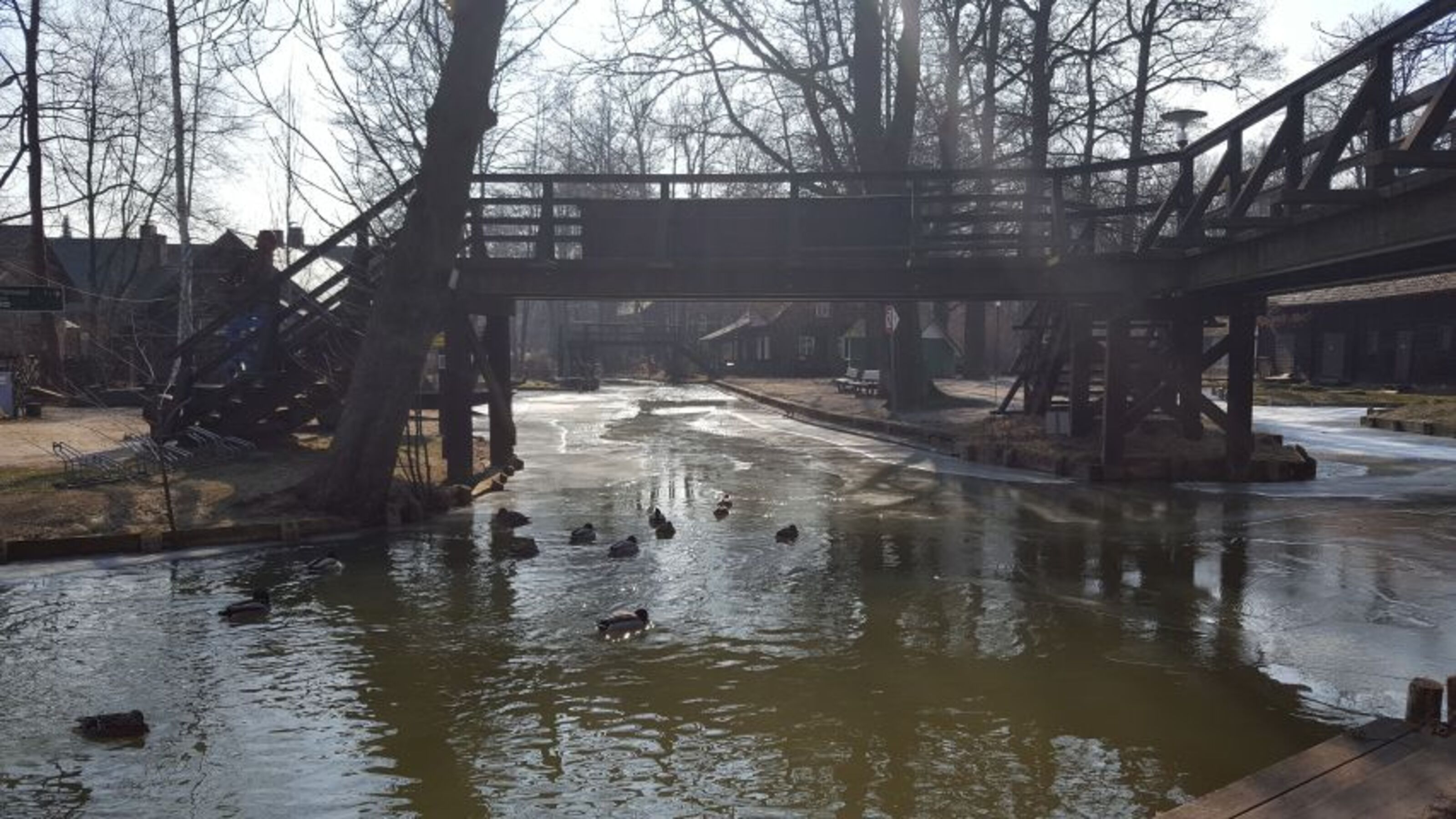 Winterlandschaft im Spreewald