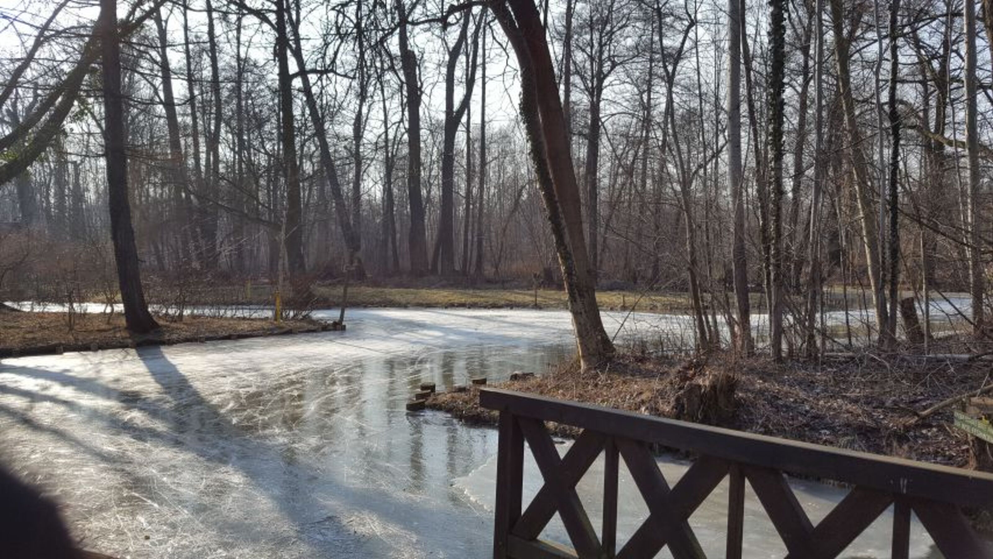 Winter im Spreewald