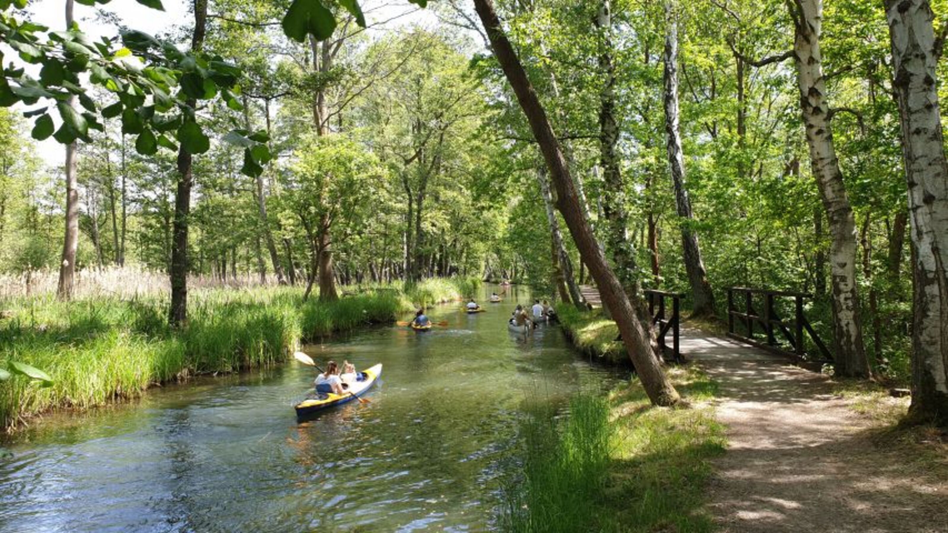 Fahrradtour durch den Spreewald