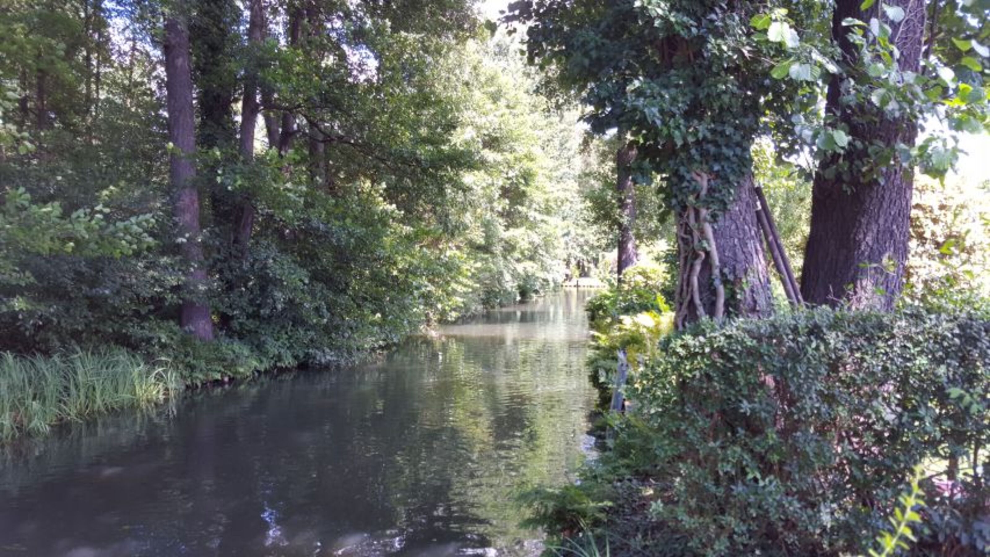 Fließlandschaft am FH