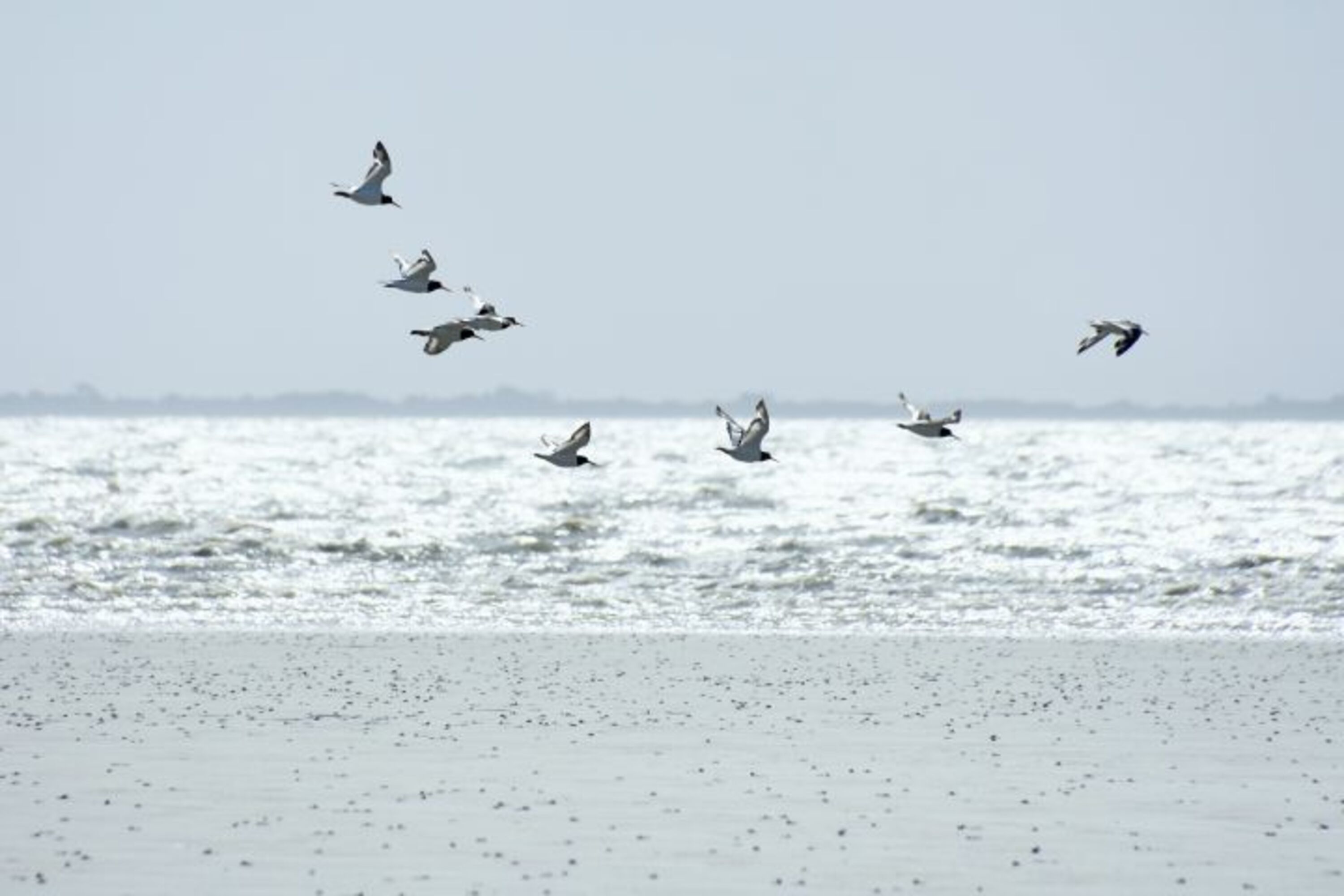 Bild 8