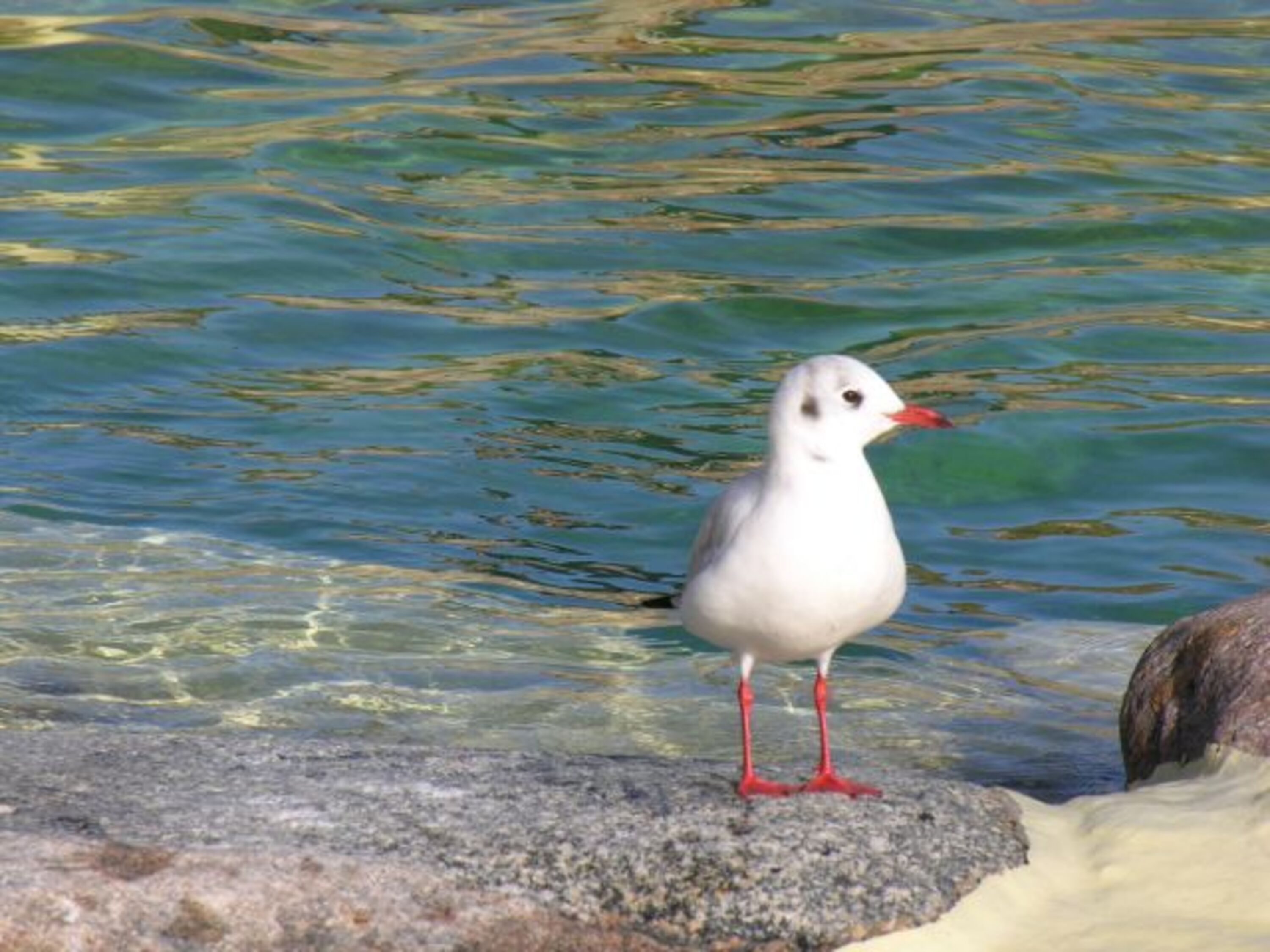 Bild 17