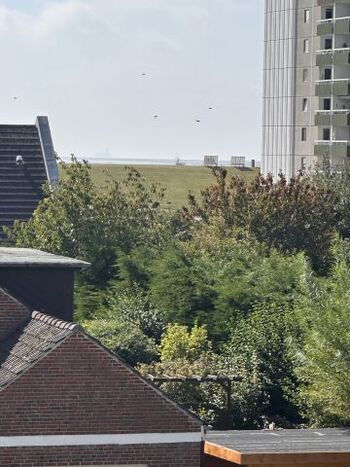 Blick vom Balkon