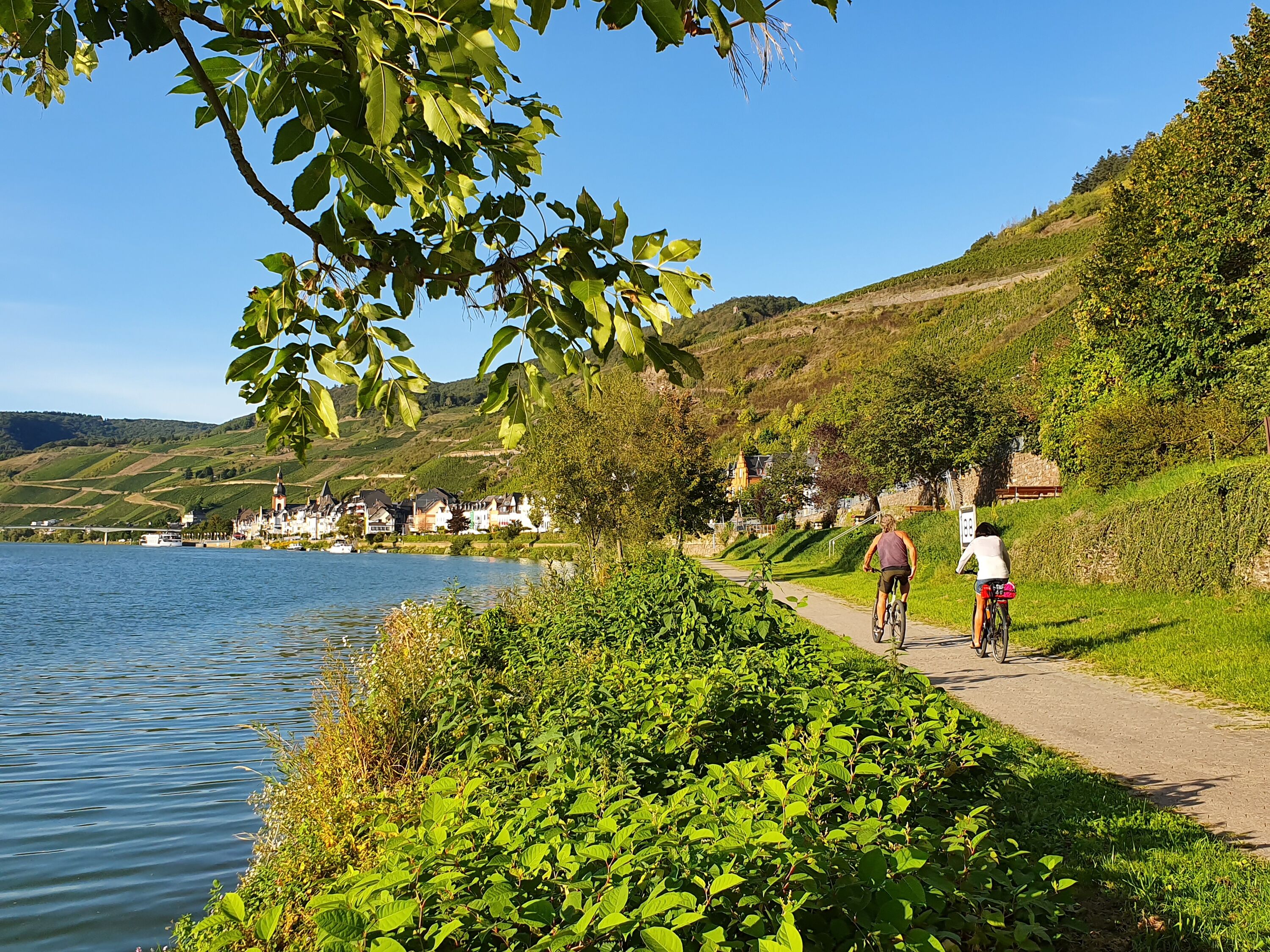 Sommerliche Fahrradtour direkt an der Mosel