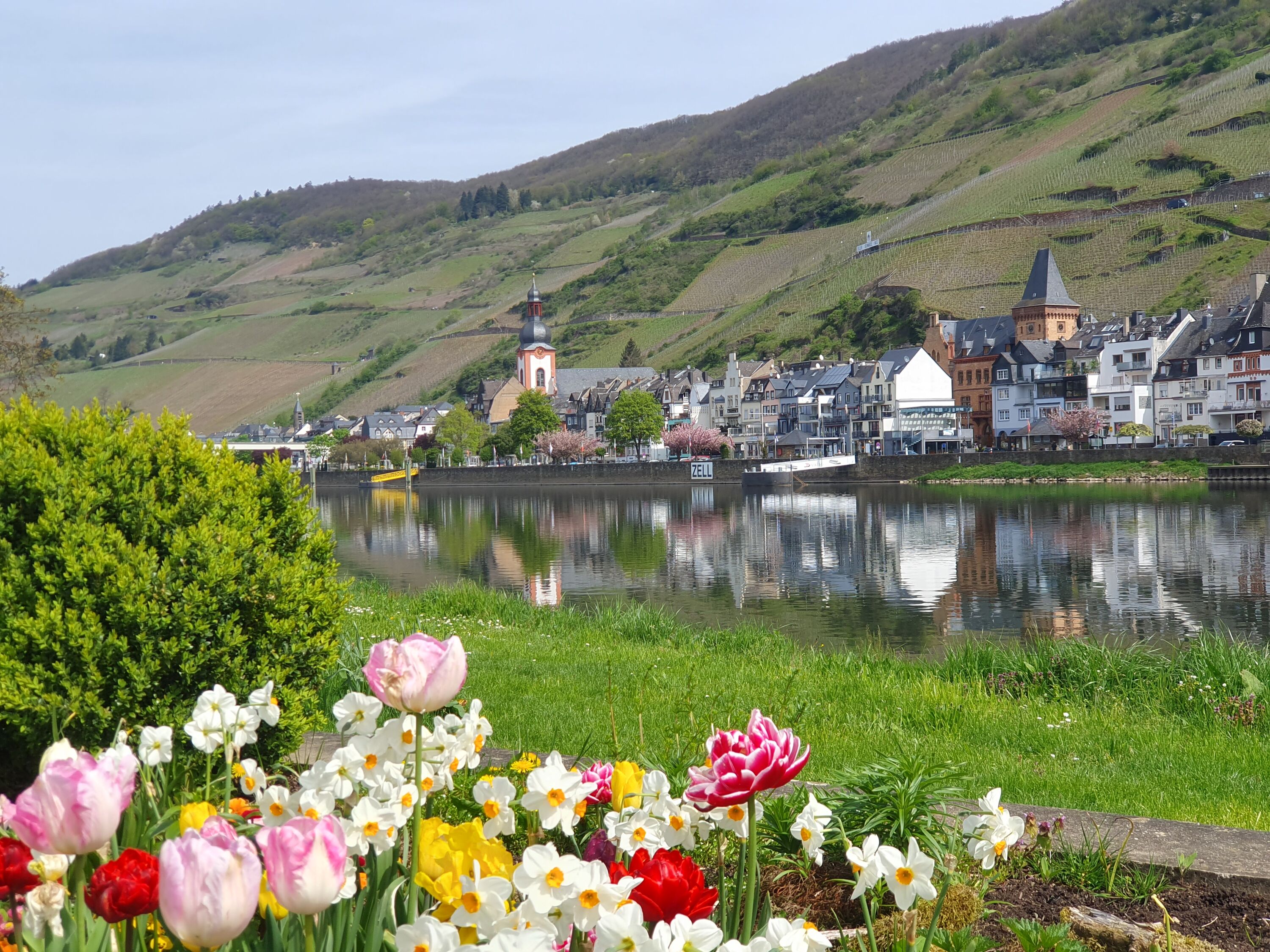 Frühlingserwachen in Kaimt mit Blick auf Zell