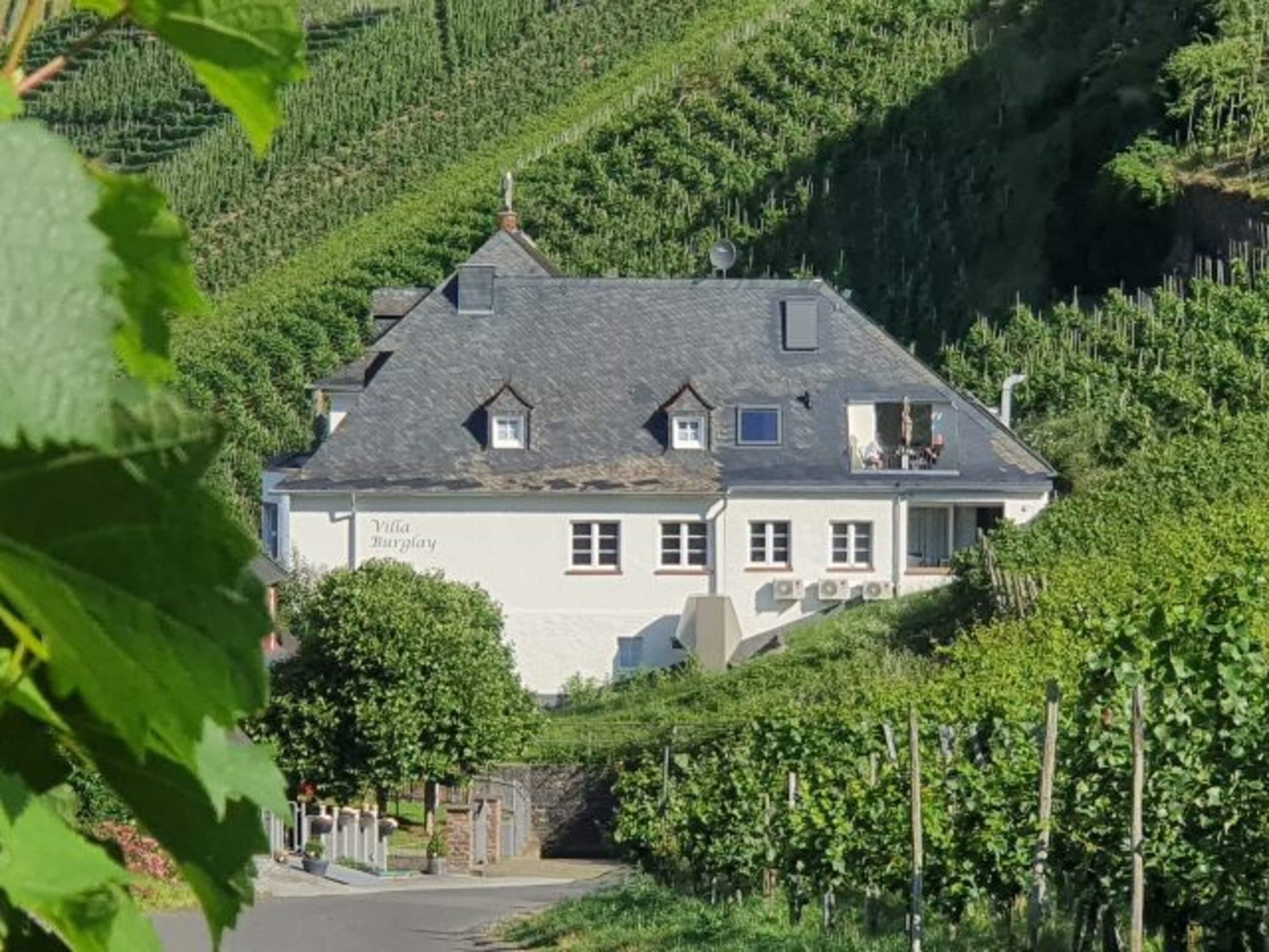 Villa Burglay in den Weinbergen gelegen