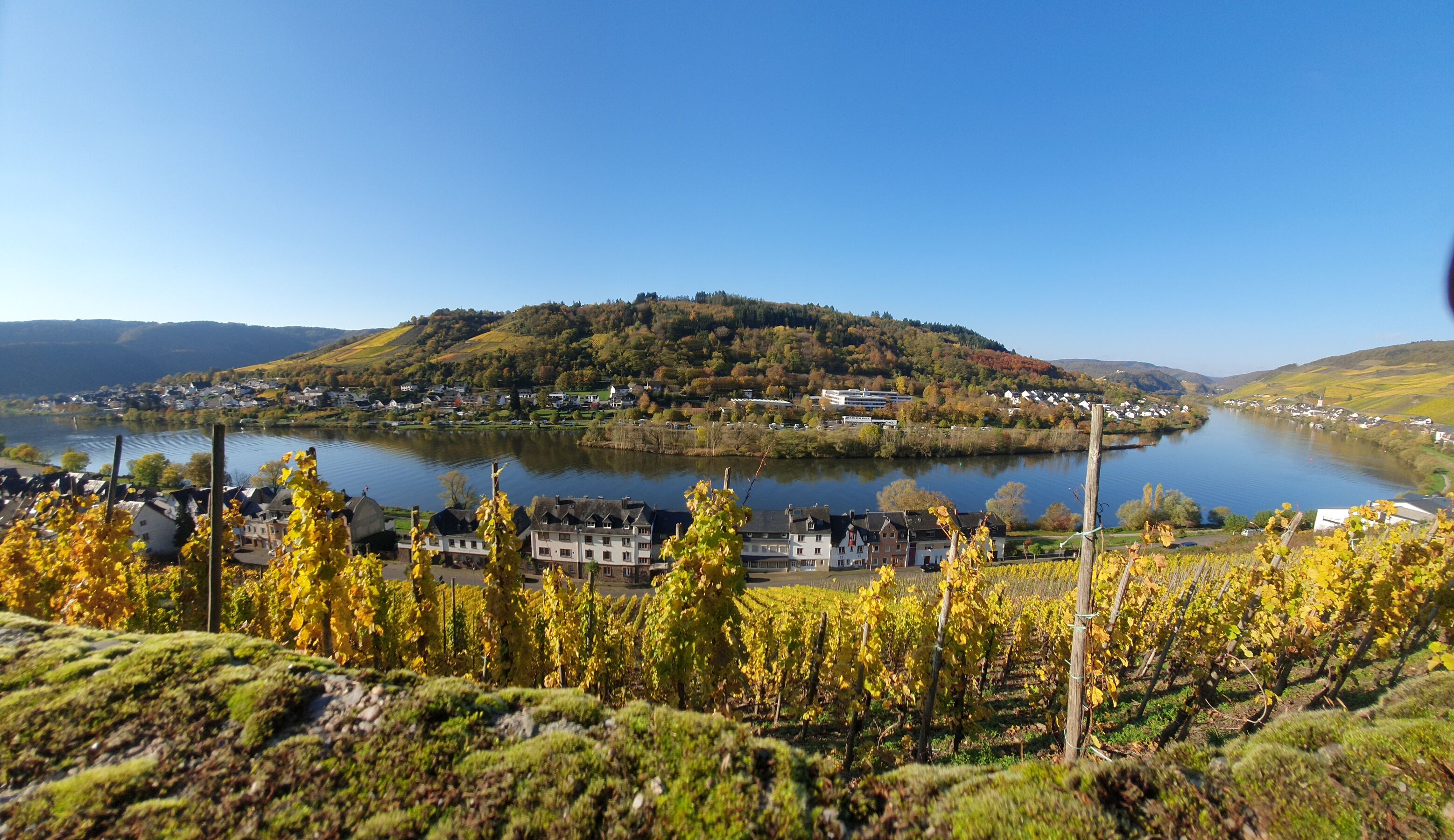 goldener Herbst