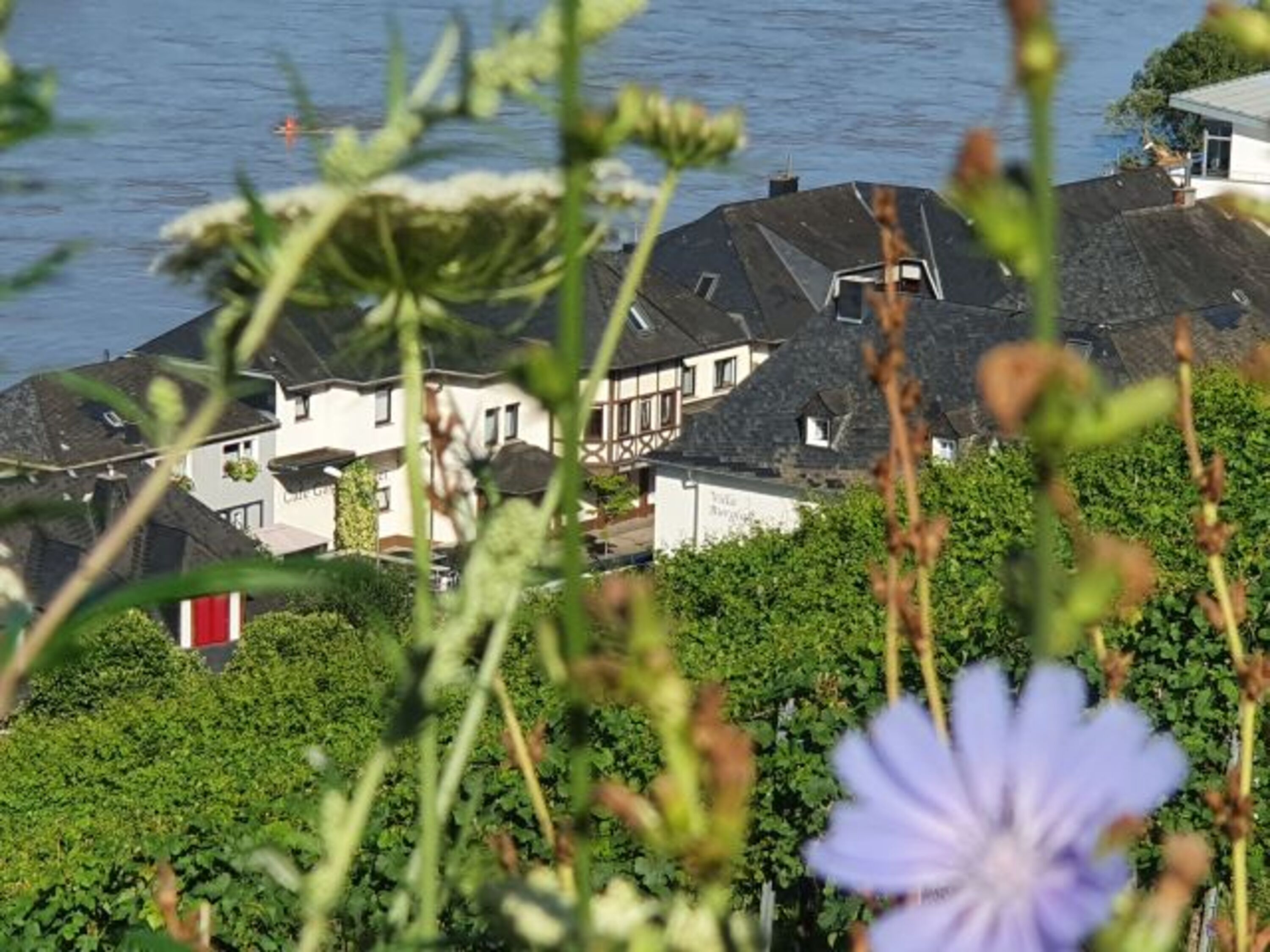 Herrlicher Panoramablick von den Wanderwegen