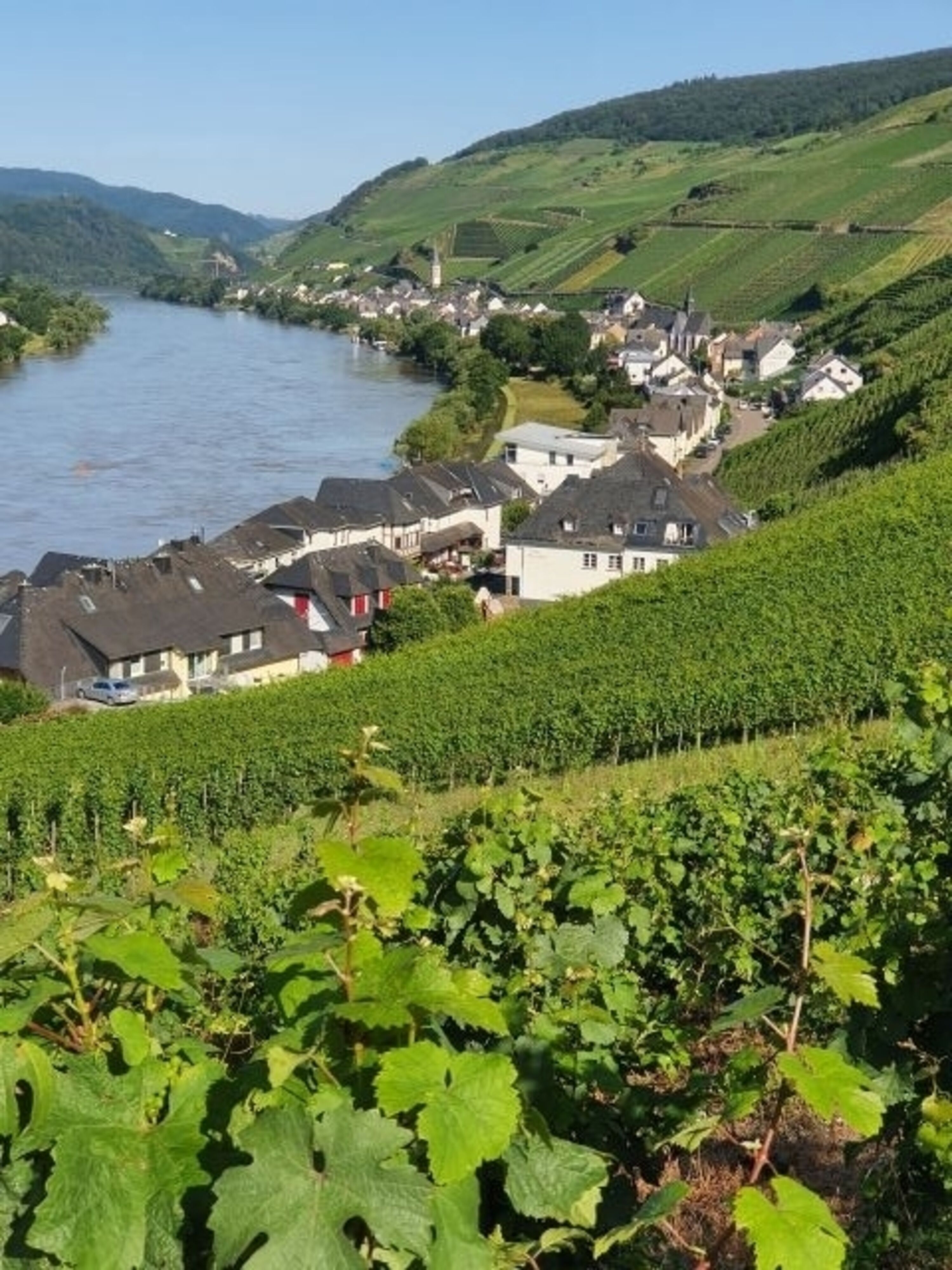 Wundervolle Lage an den Wanderwegen
