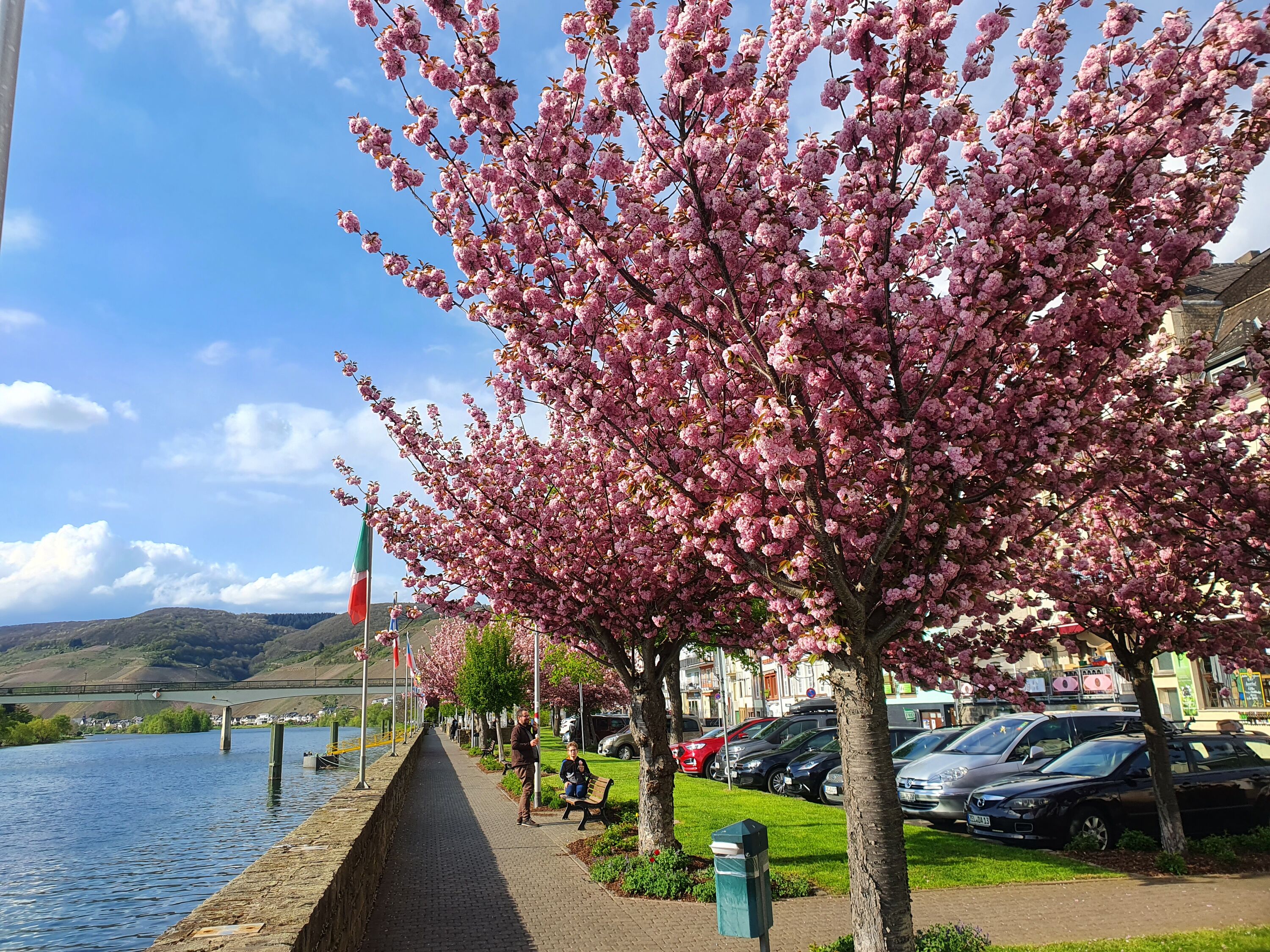 Frühling in Zell