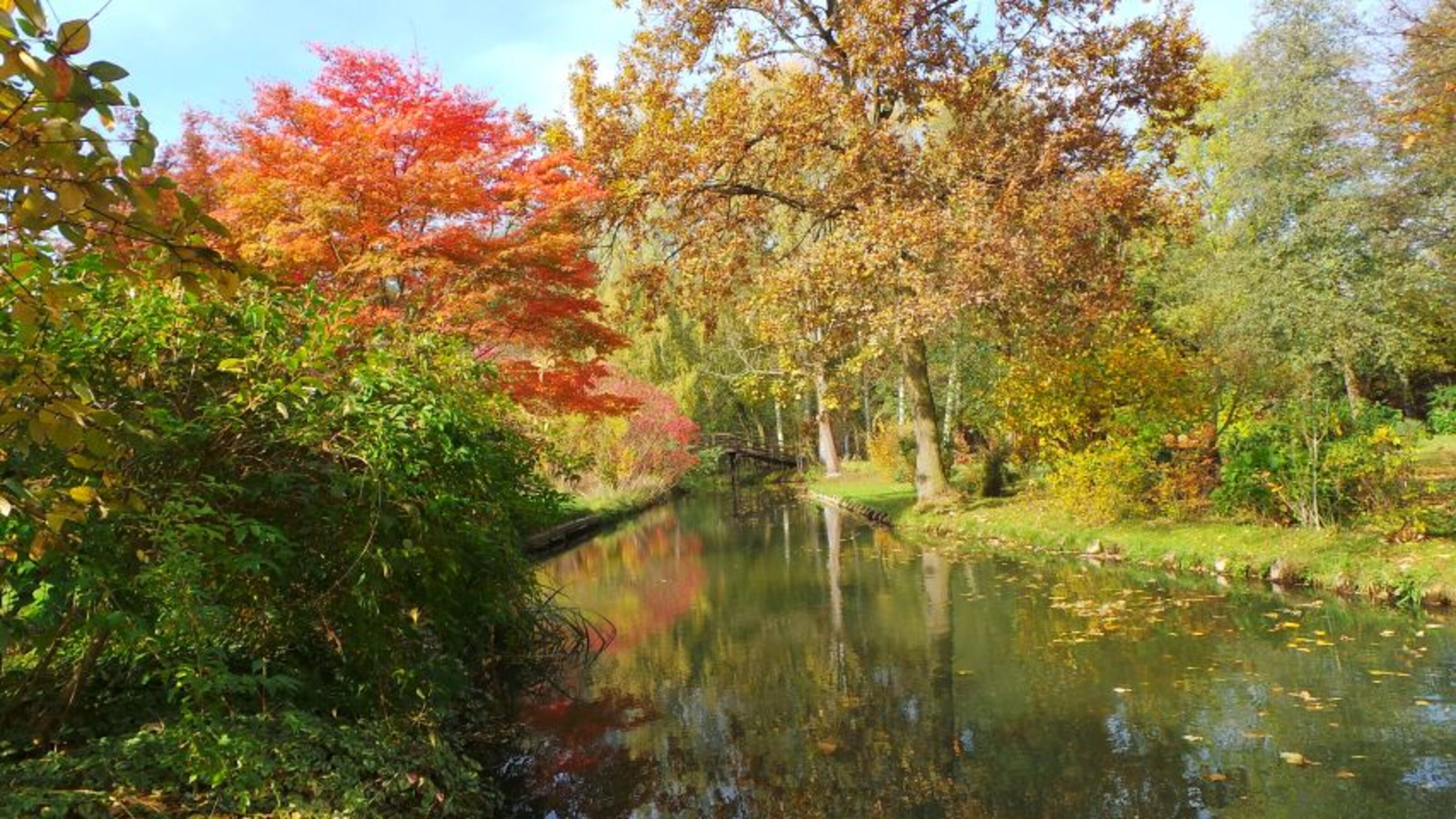 Der Spreewald im Herbst