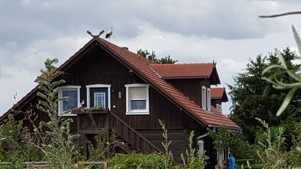 Ferienwohnung Storchennest