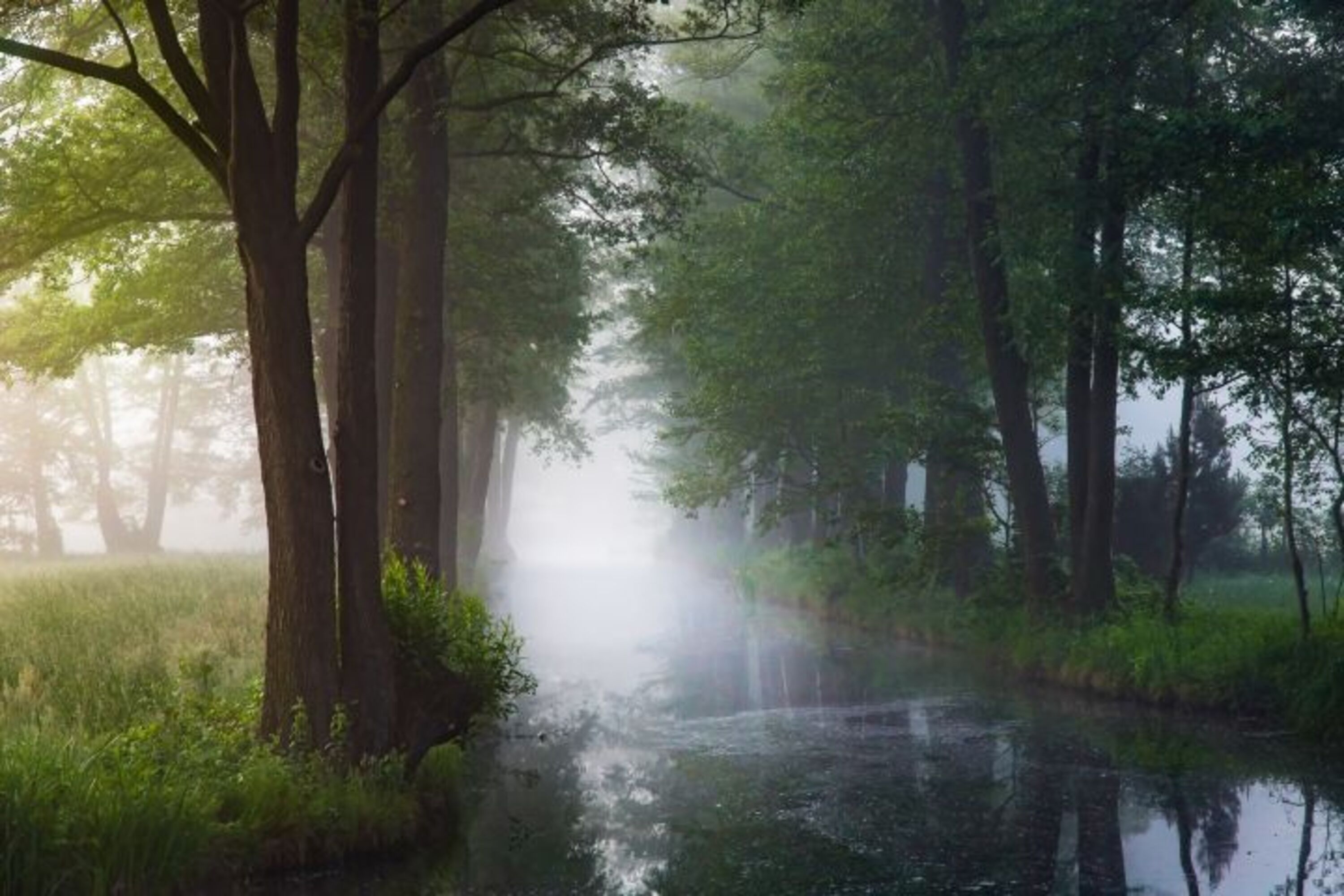 Spreewald am Morgen