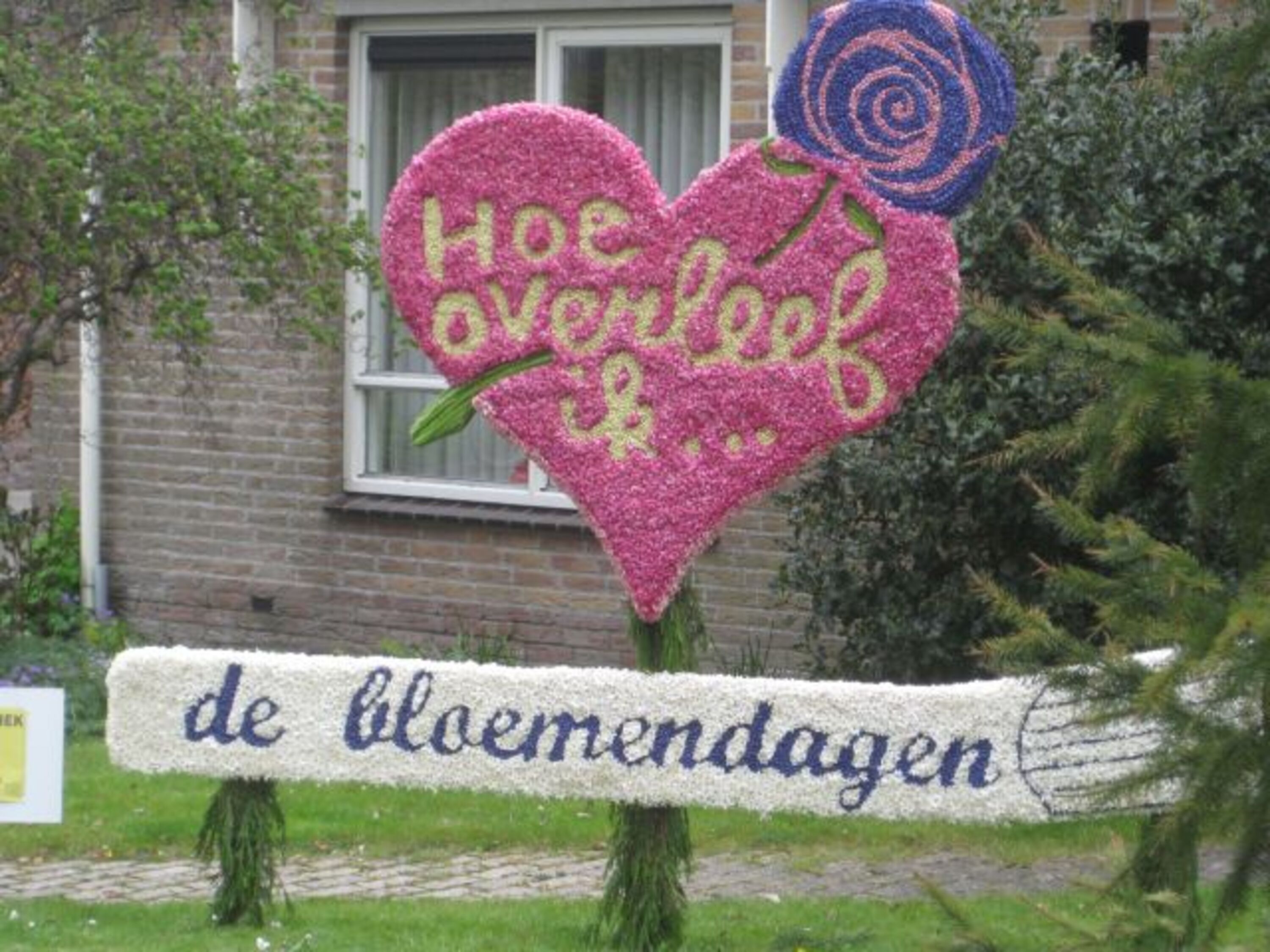 Bild 18