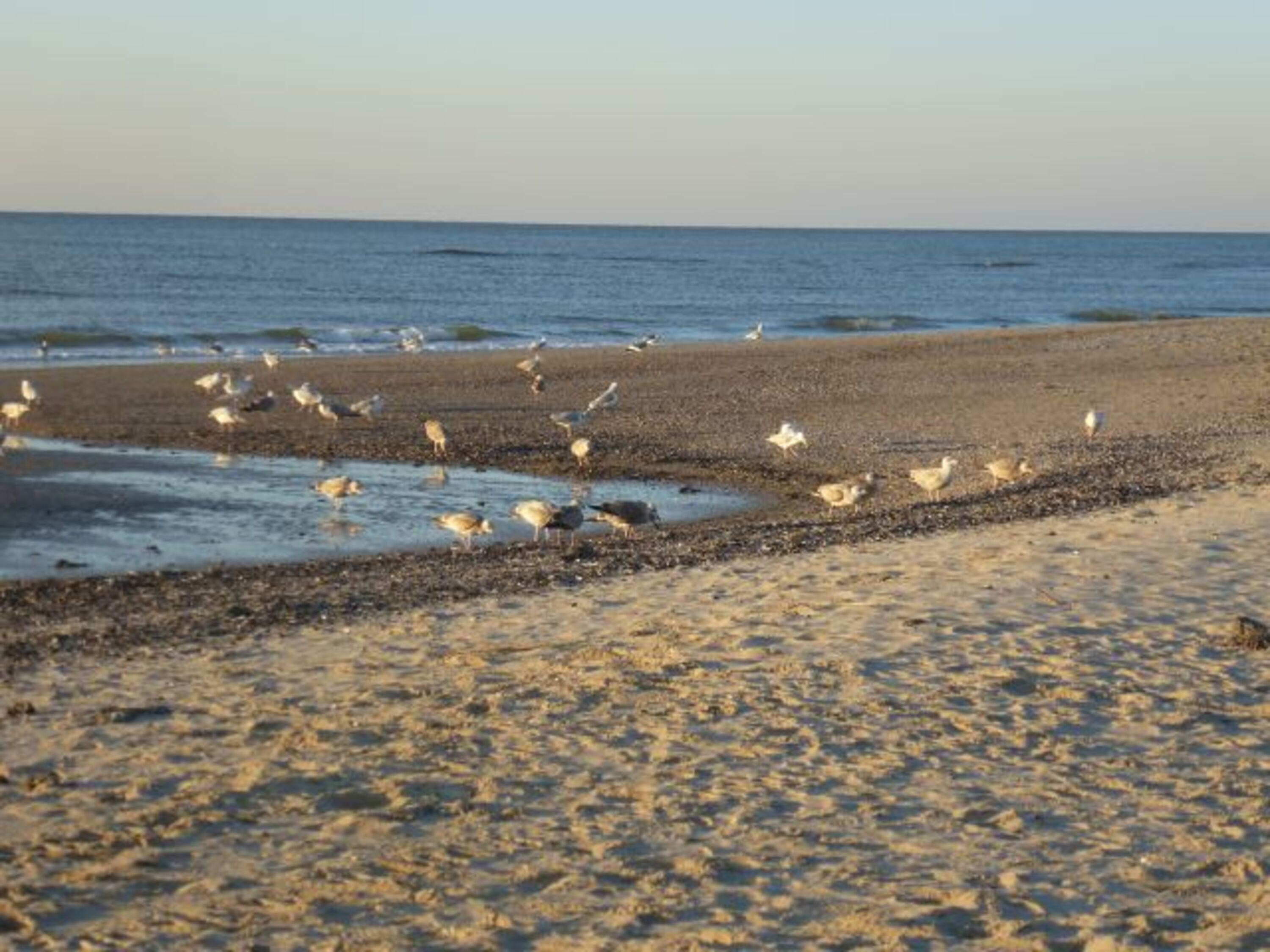 Bild 15