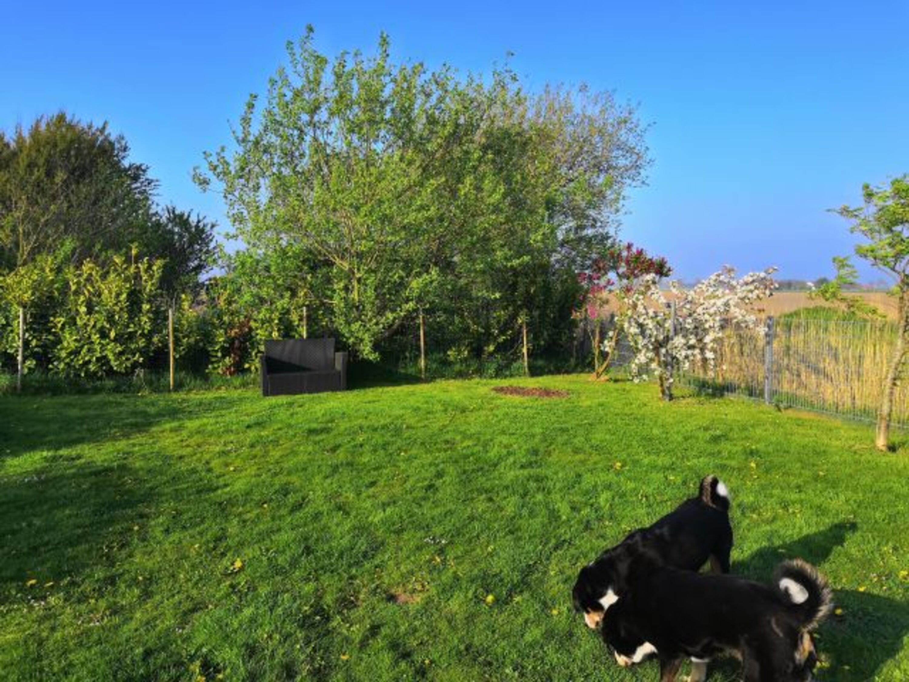 eingezäunter Garten