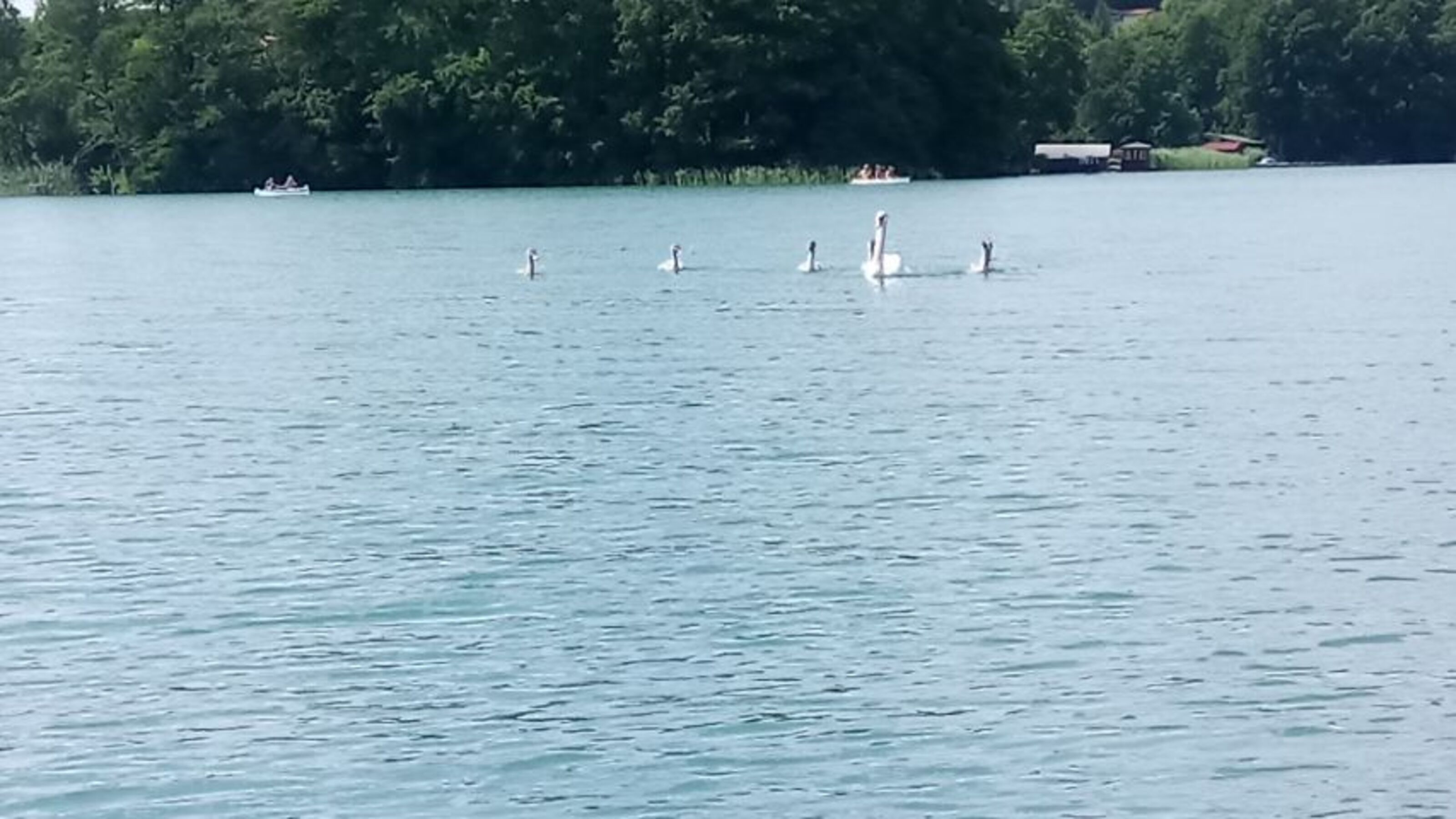 Feldberger Haussee 