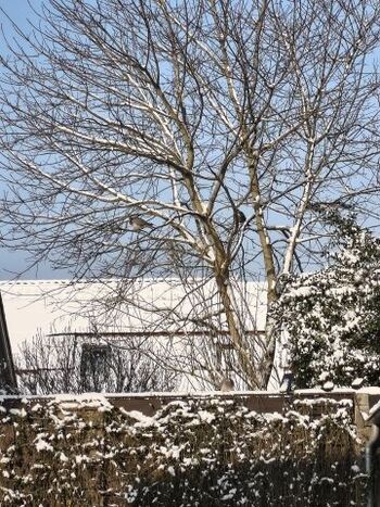 Winter 1