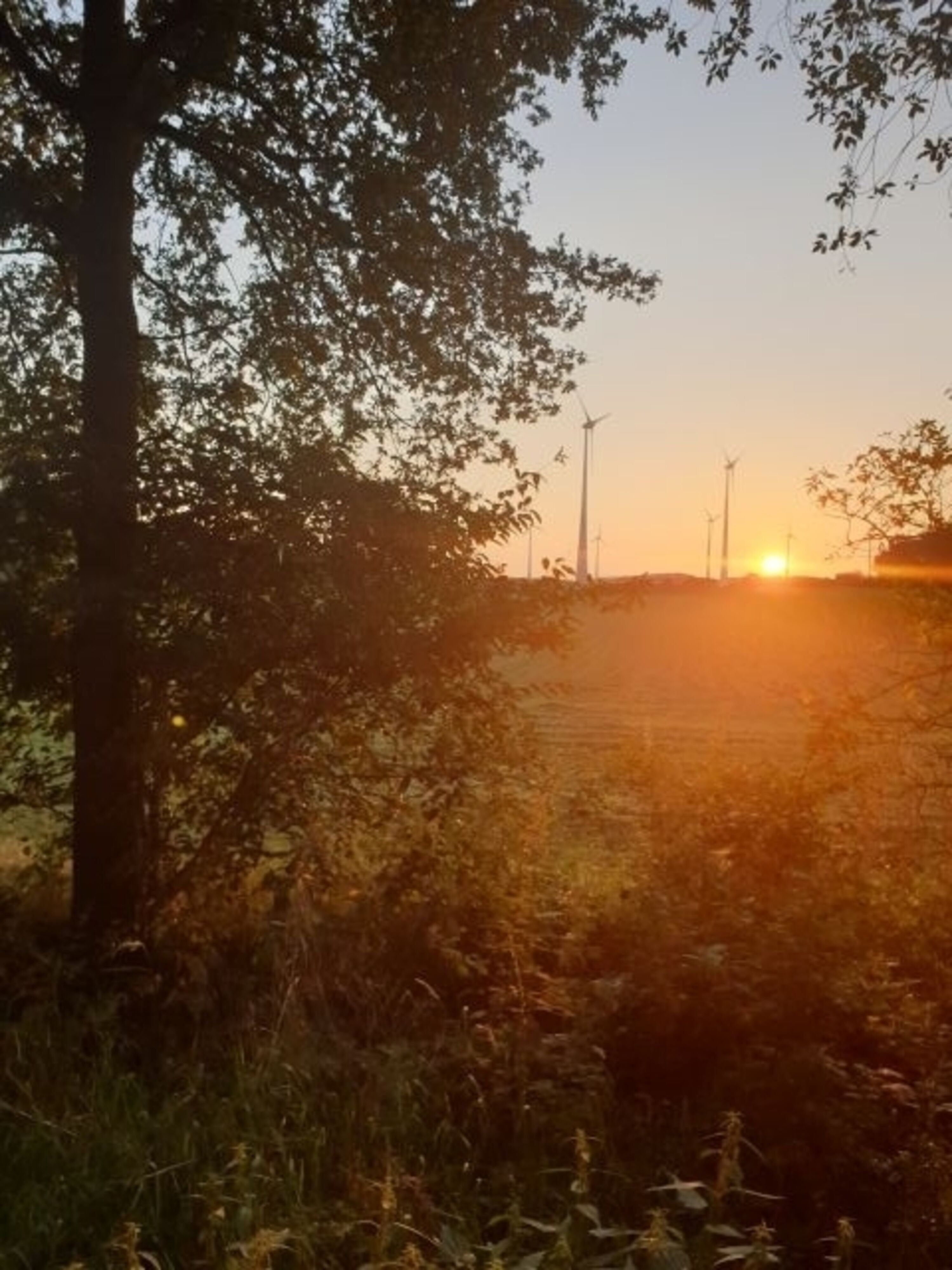 Sonnenuntergang 
