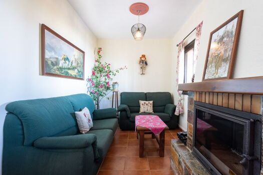 das "Fernseh-Sofa" 