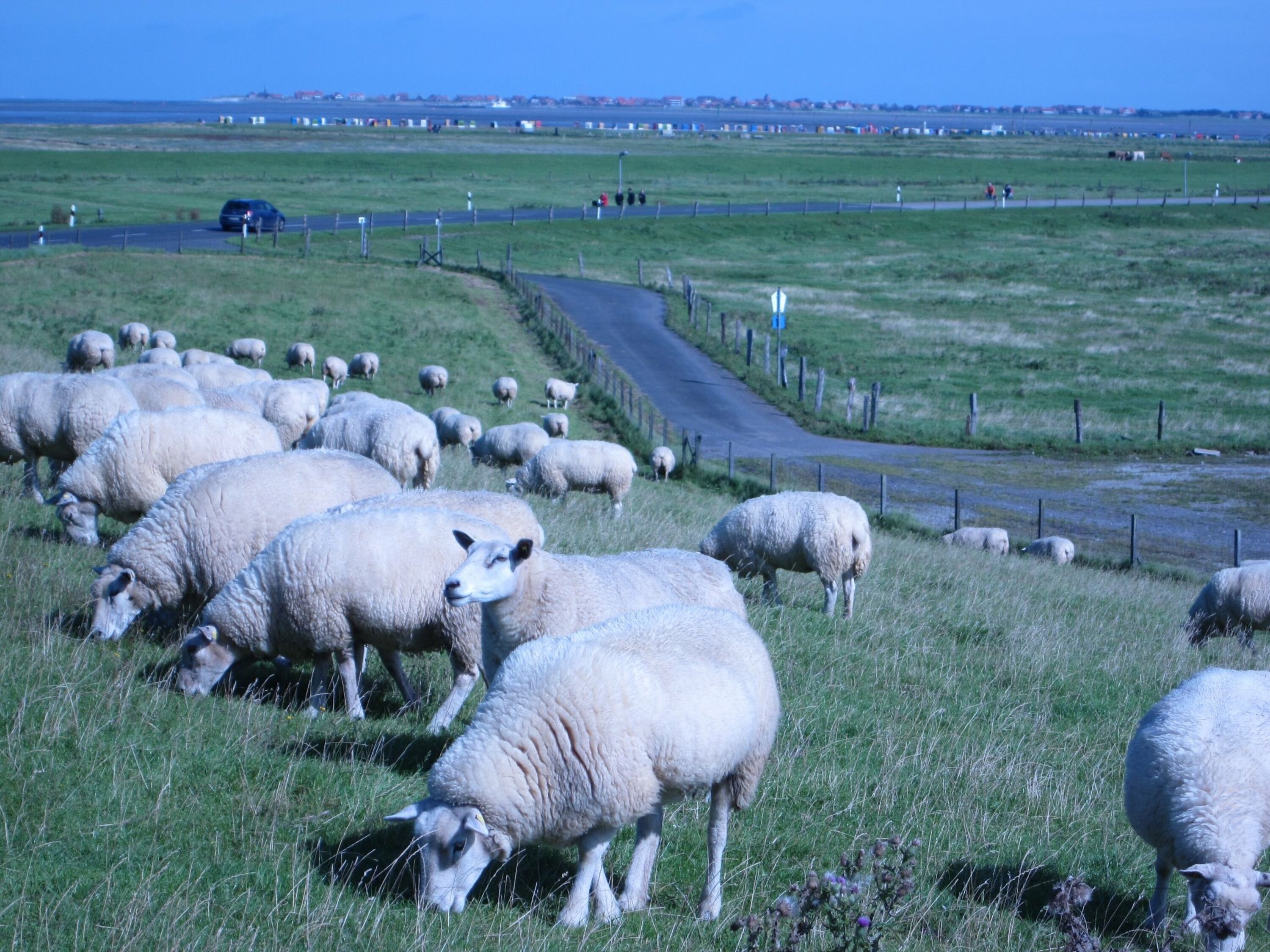 Nessmersiel