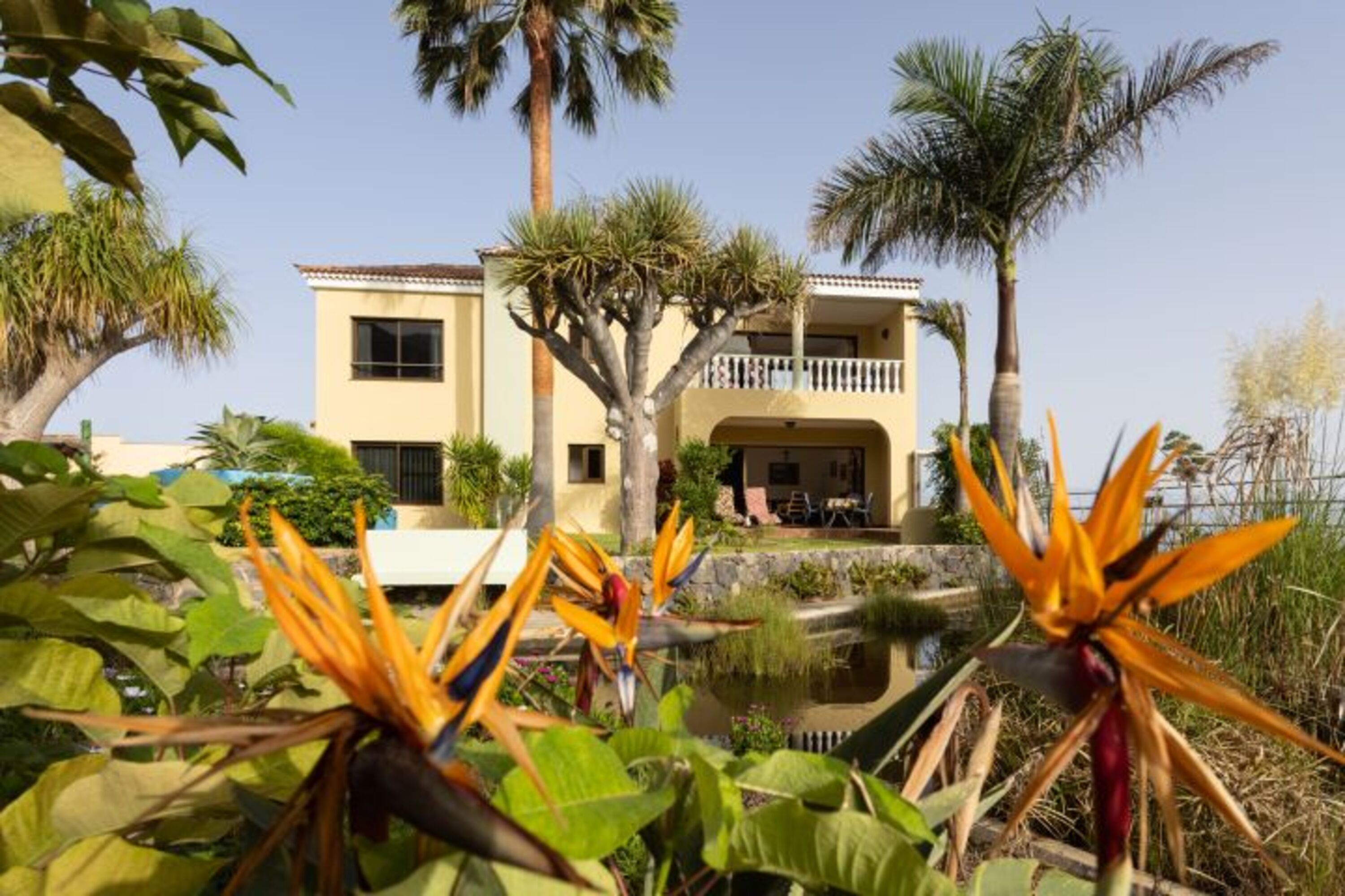 Blick auf die Terrasse und den Garten