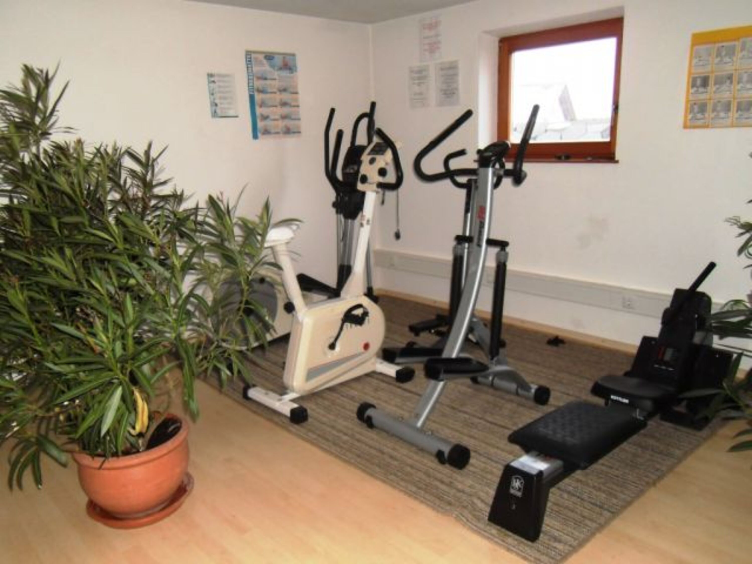 Fitnessgeräte für Ihr "Sportprogramm"