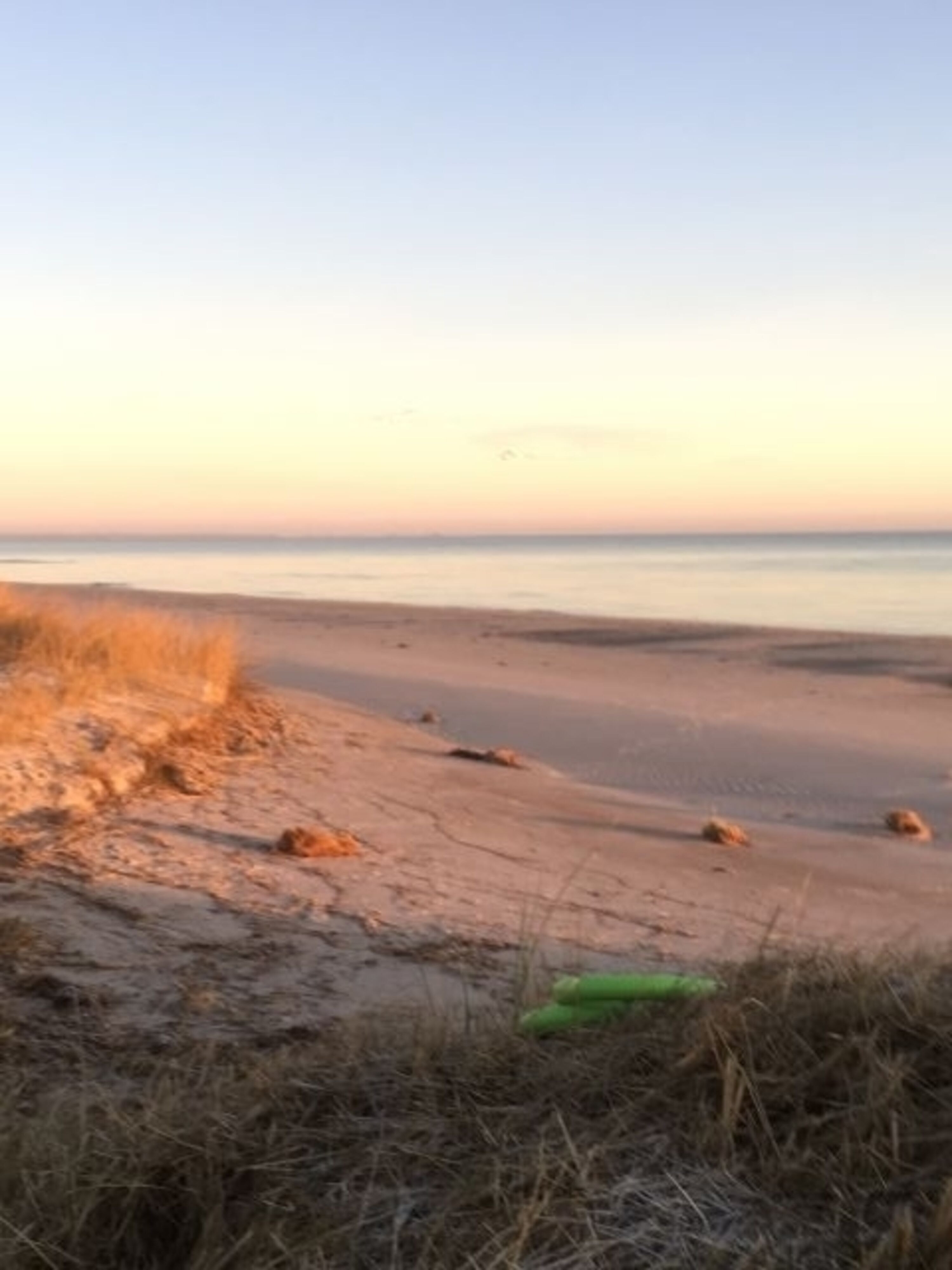 Strand von Kronsgaard 
