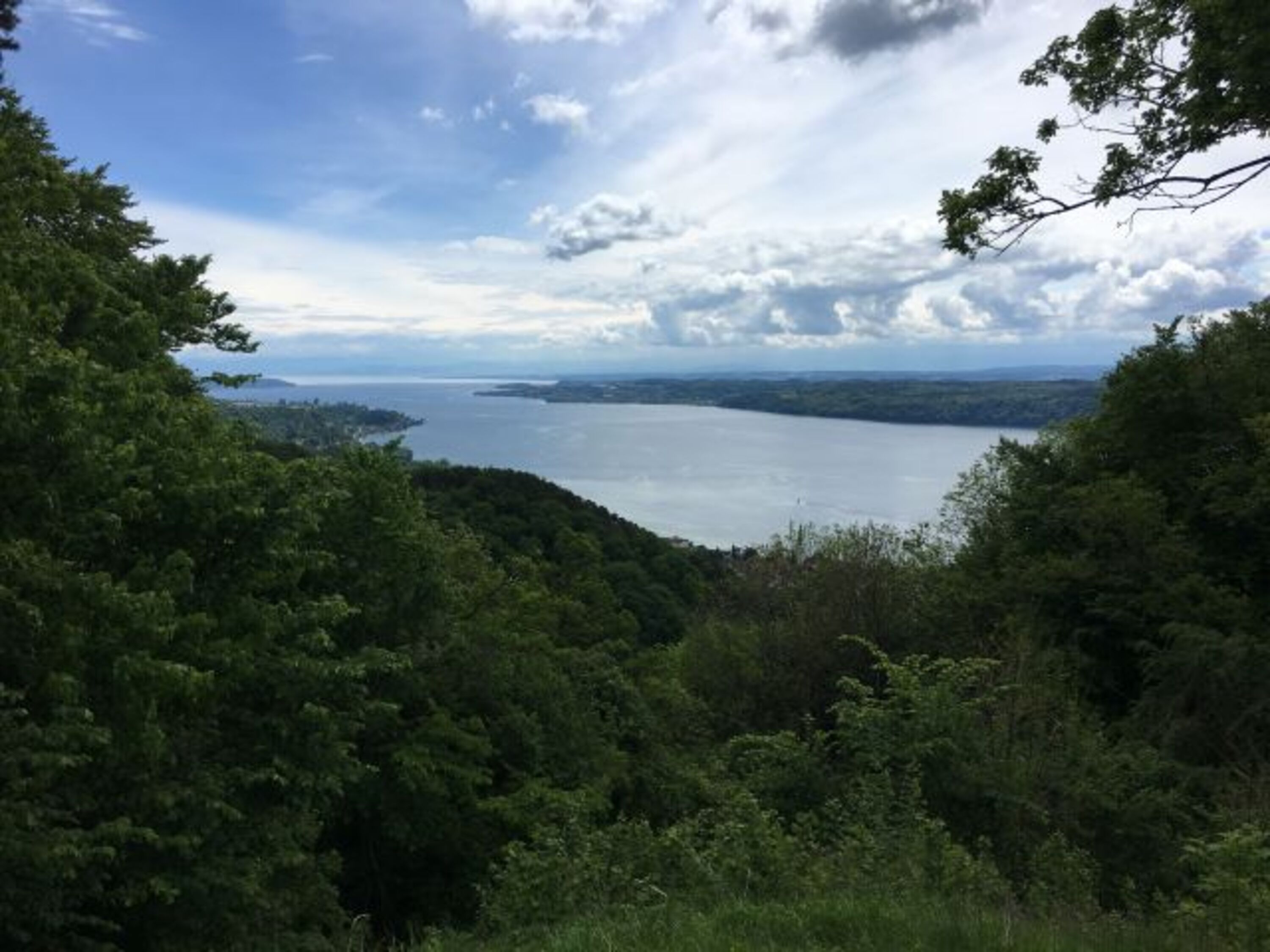 Aussicht auf den Bodensee