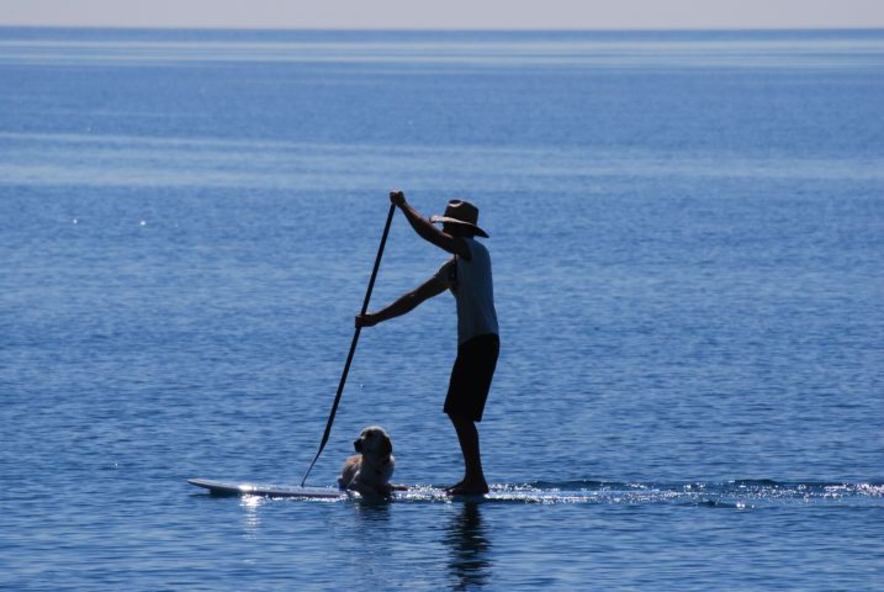 Stand-Up Paddle auf dem See