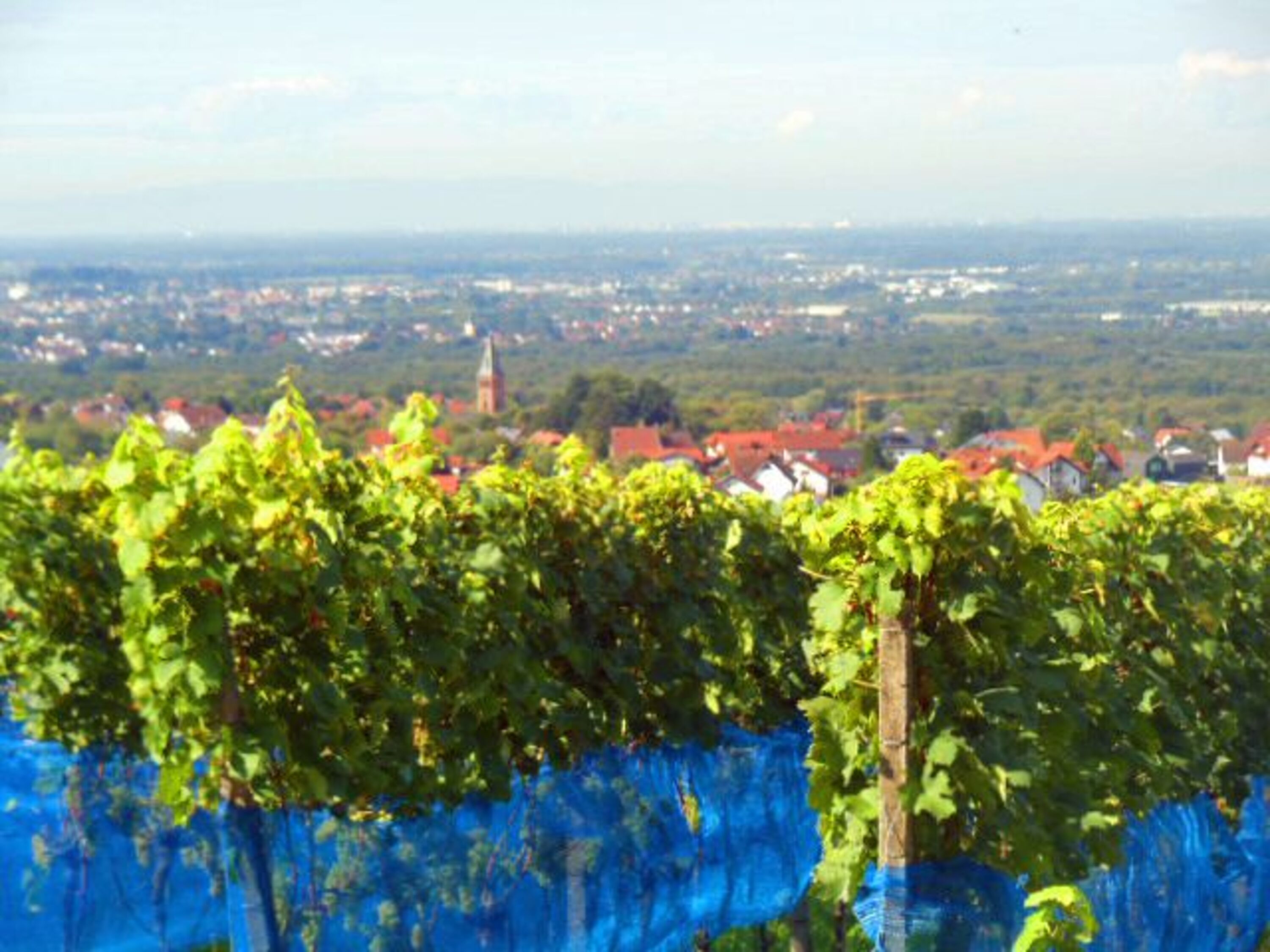 Bild 17