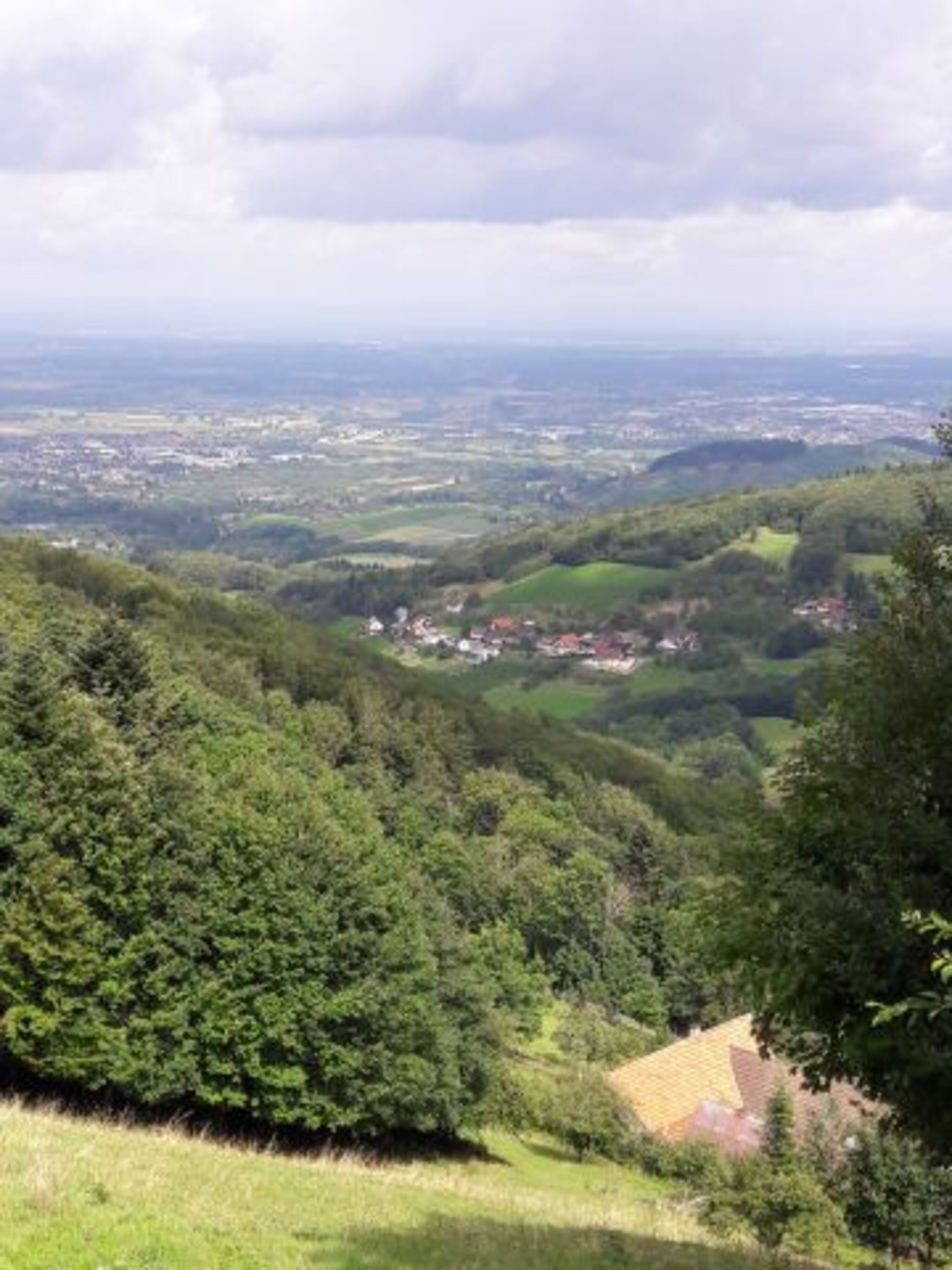 Bild 14