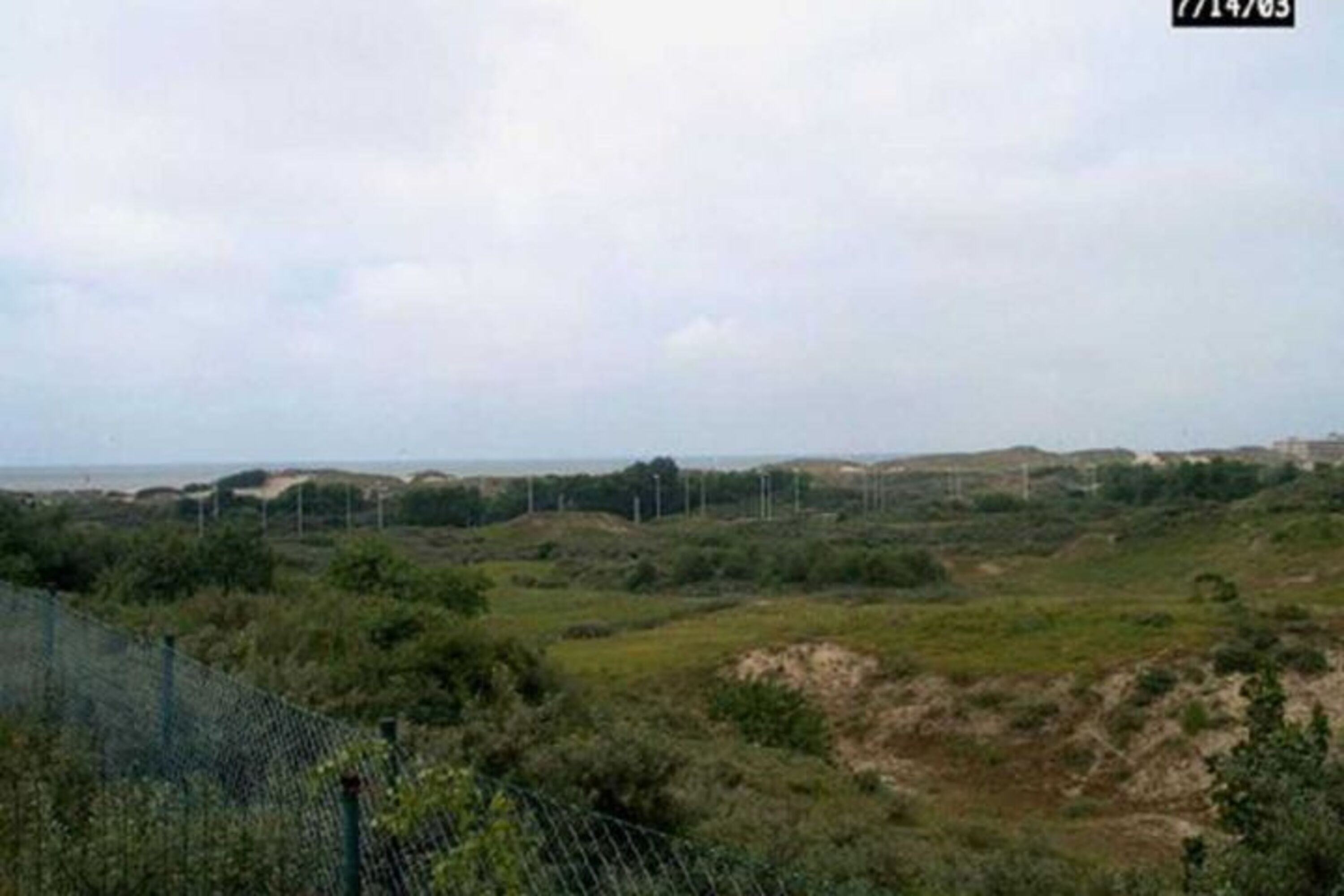 Ausblick Garten 