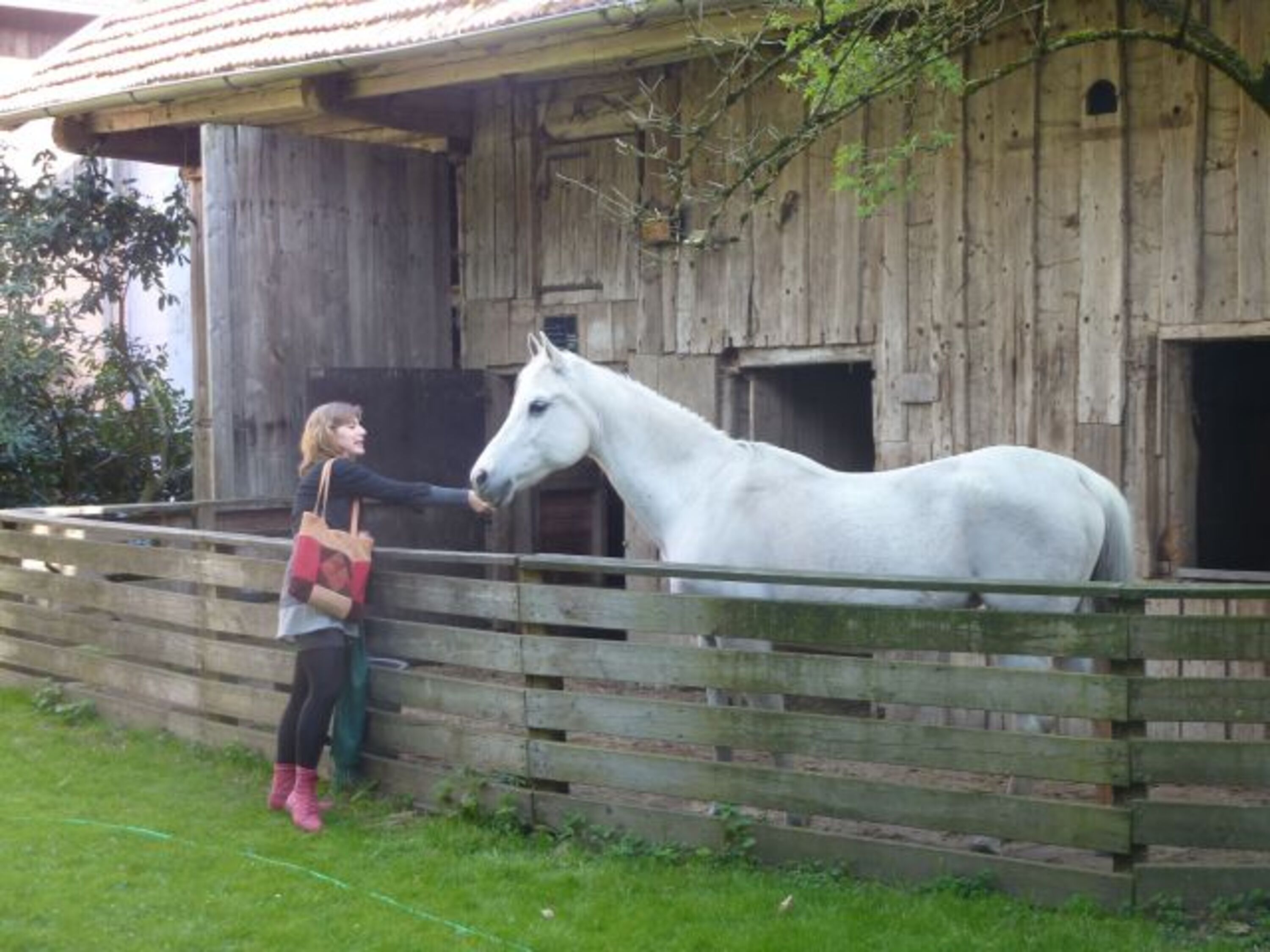 Bild 15